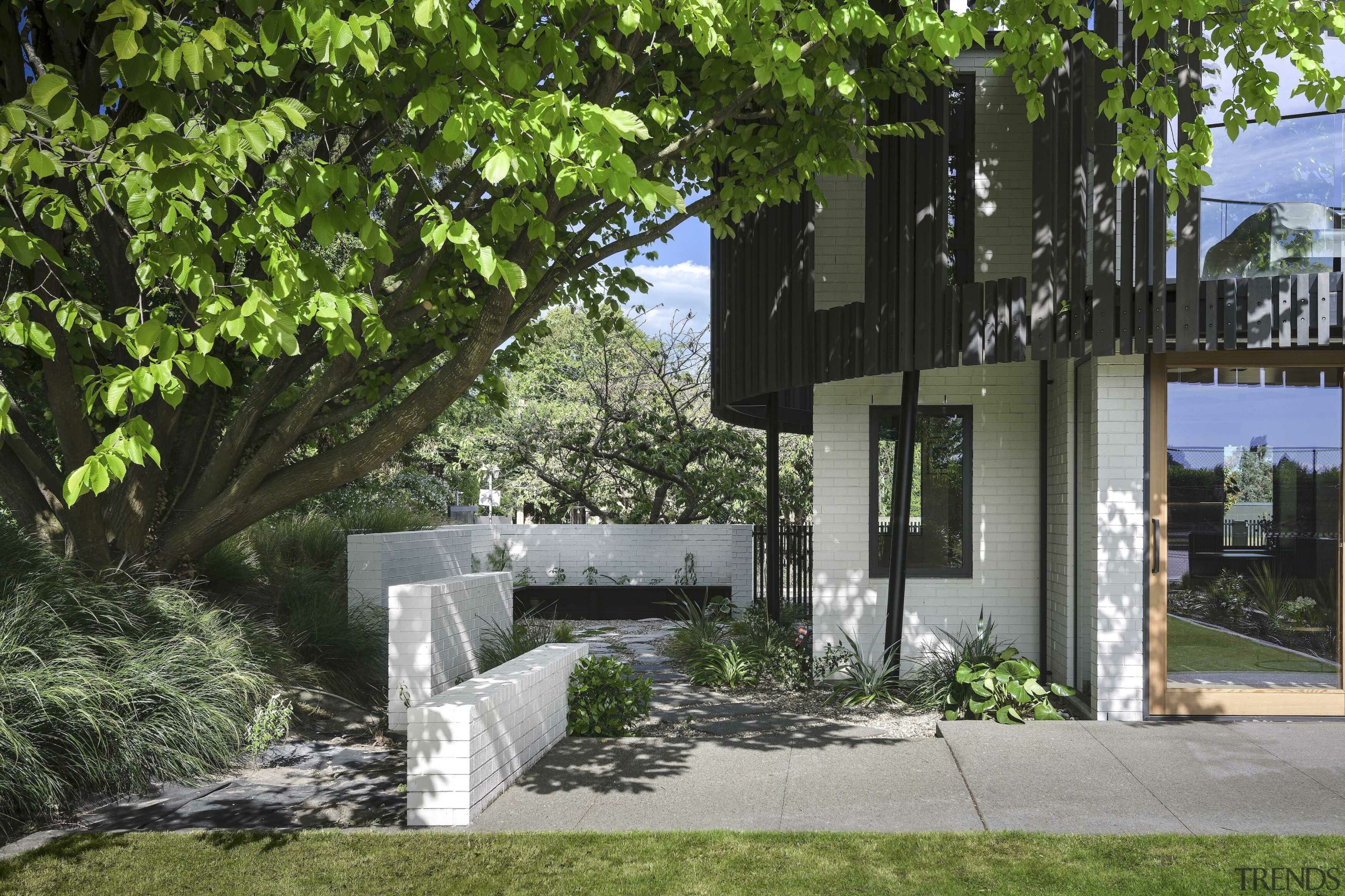 Shady outdoor living lounge. - Under the spreading 