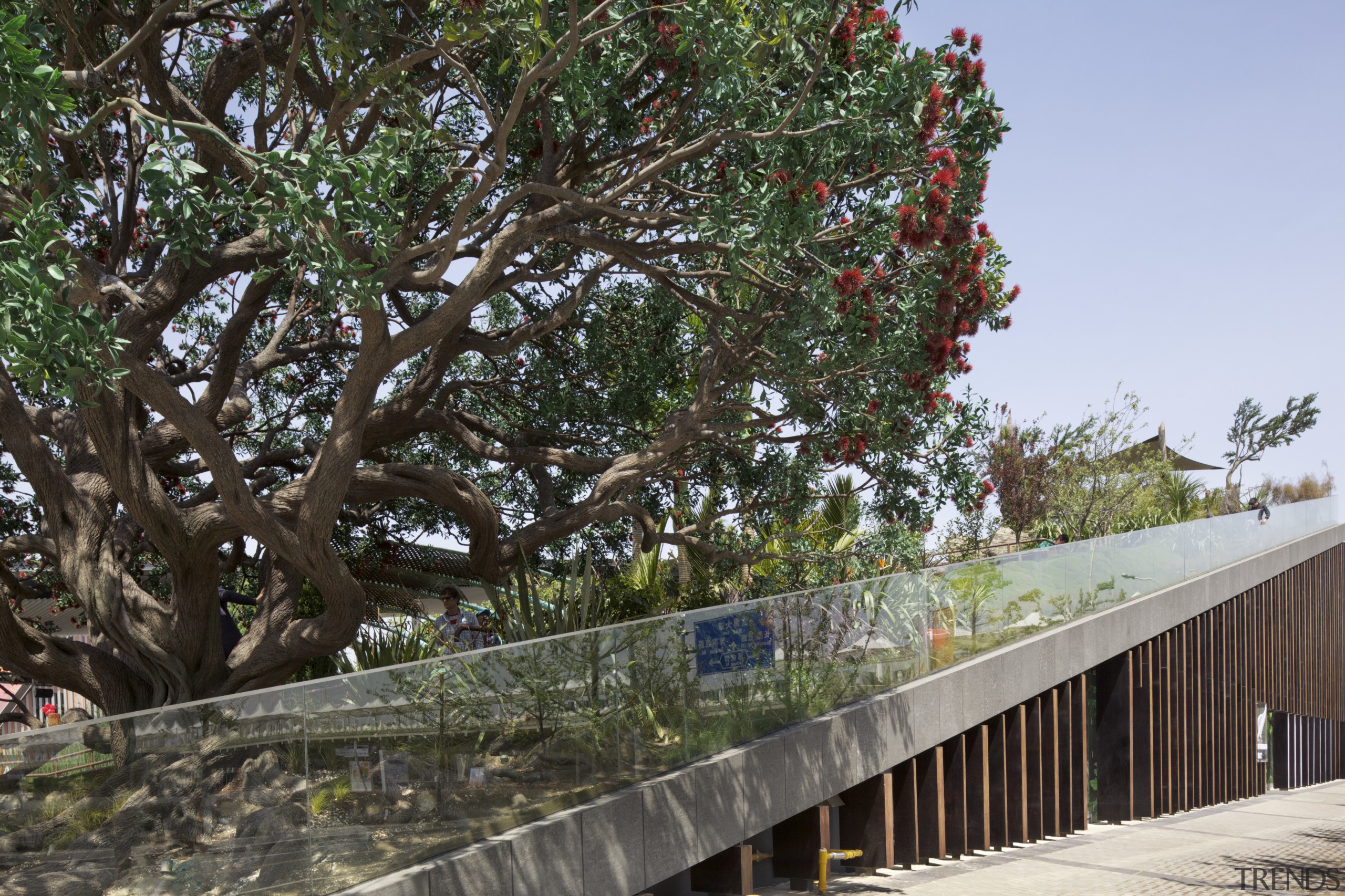 New Zealand Pavilion, Shanghai World Expo, China - branch, outdoor structure, plant, tree, woody plant, black