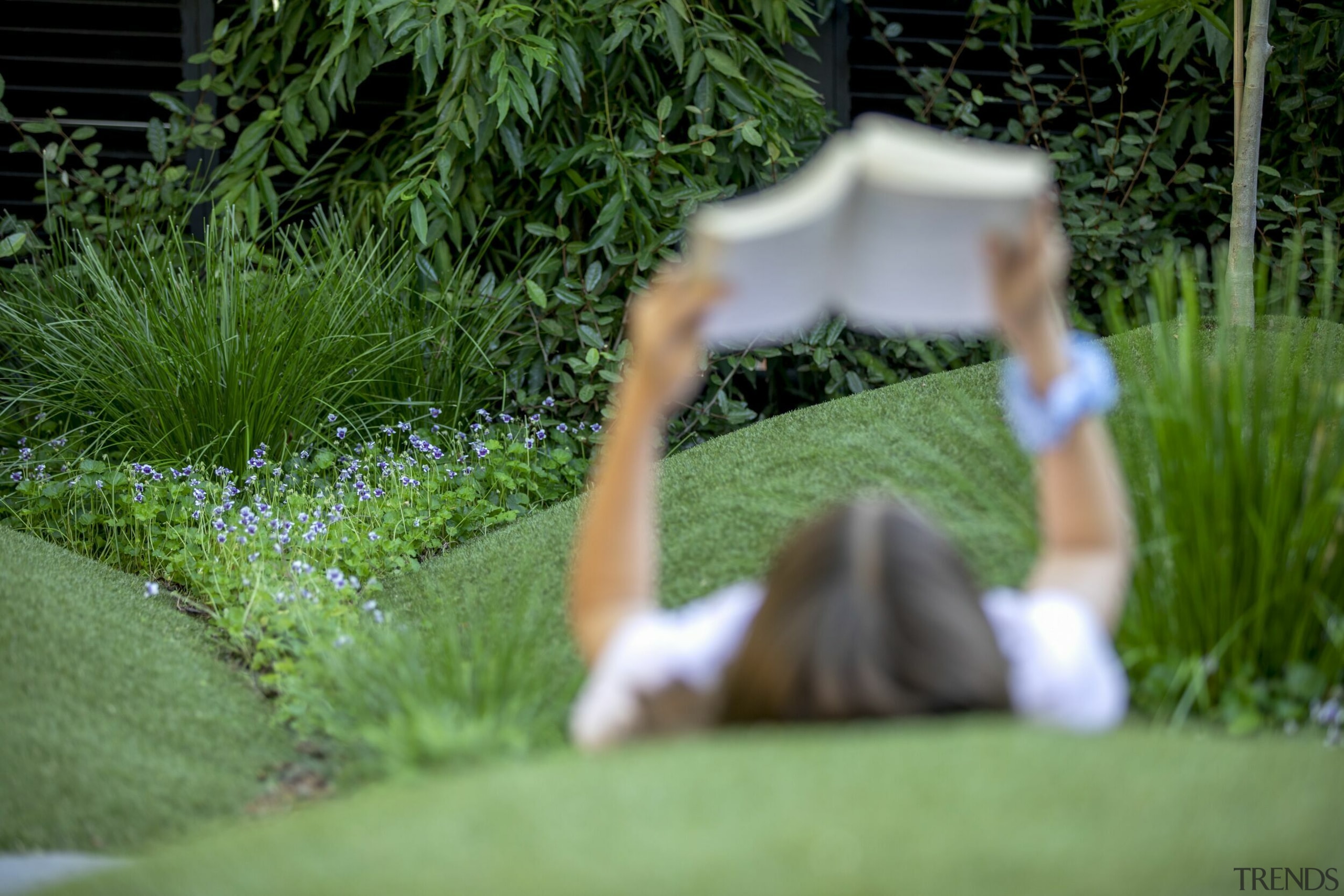 The mounds make for comfortable lazing. - Magical 