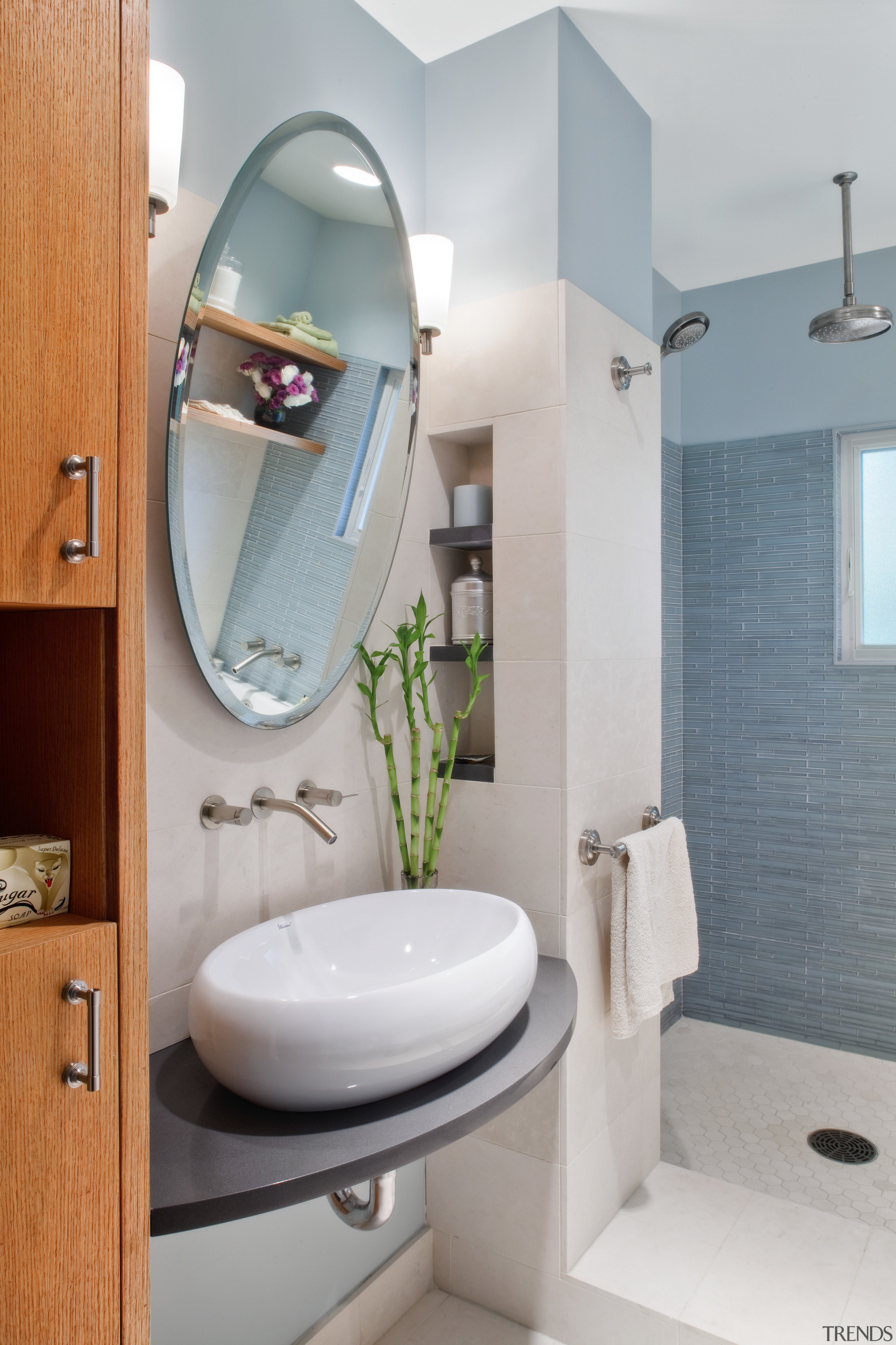 View of bathroom with blue wall, contemporary rectangular bathroom, bathroom accessory, bathroom cabinet, home, interior design, plumbing fixture, product design, room, tap, toilet, toilet seat, gray