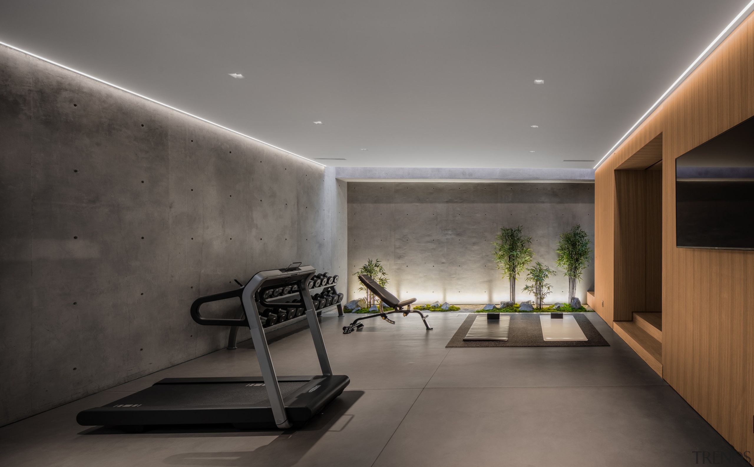 Plantings add a lighter natural touch in the 