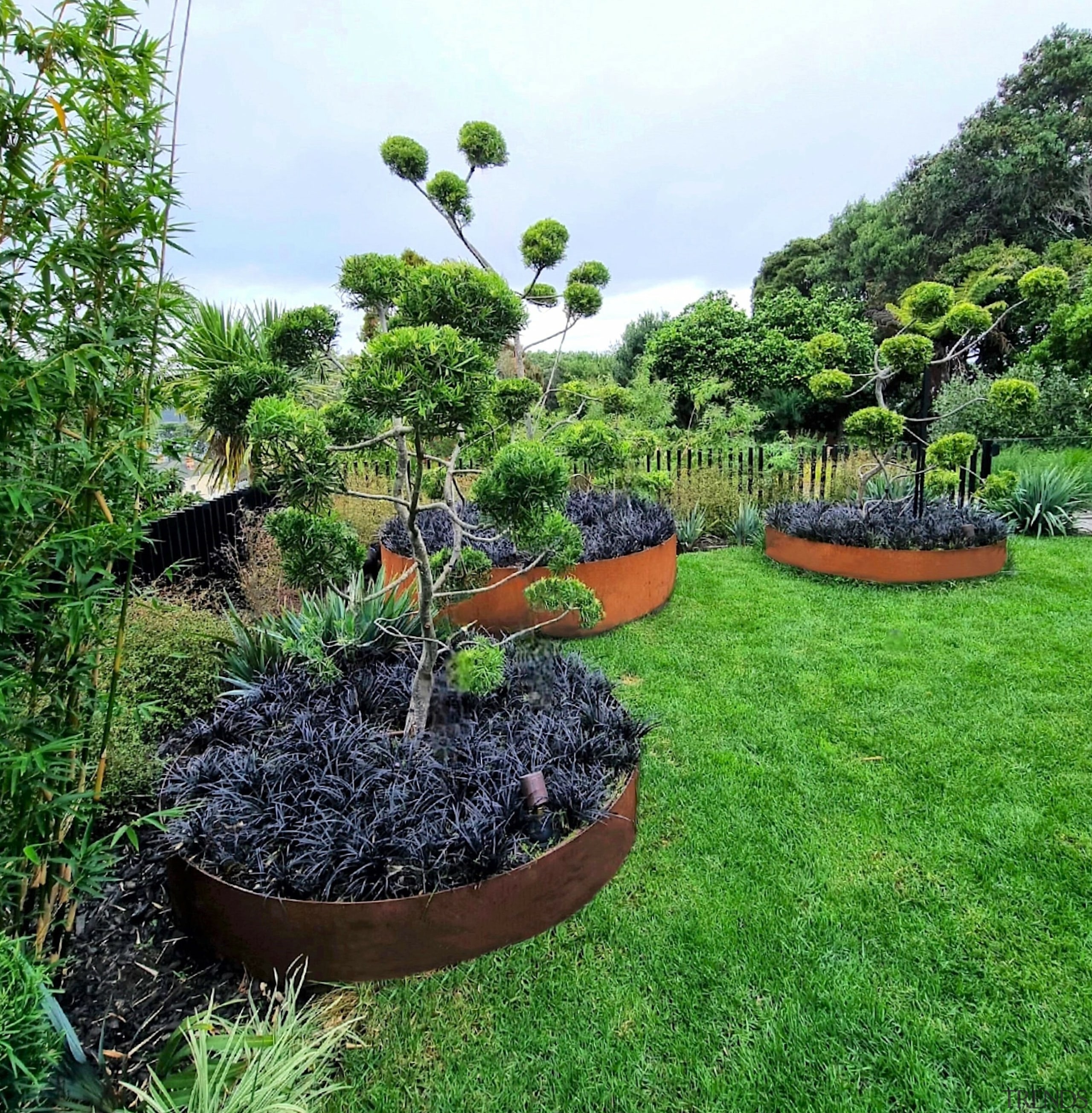 The dynamic shapes of the topiary in the 