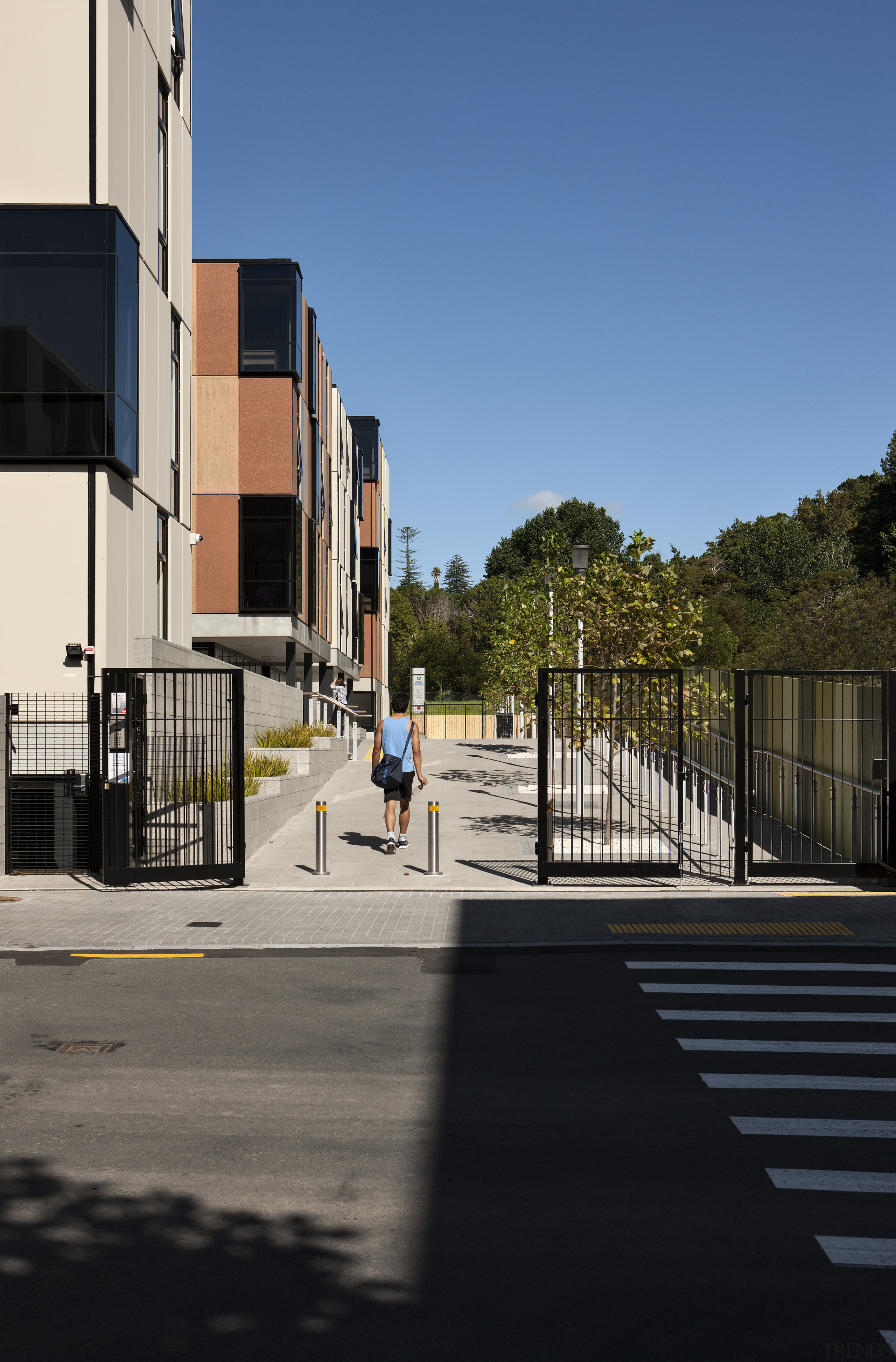 Carlaw Park Student Village in Auckland accommodates students apartment, architecture, building, city, facade, house, infrastructure, line, neighbourhood, residential area, road, road surface, sky, street, town, urban area, walkway, black