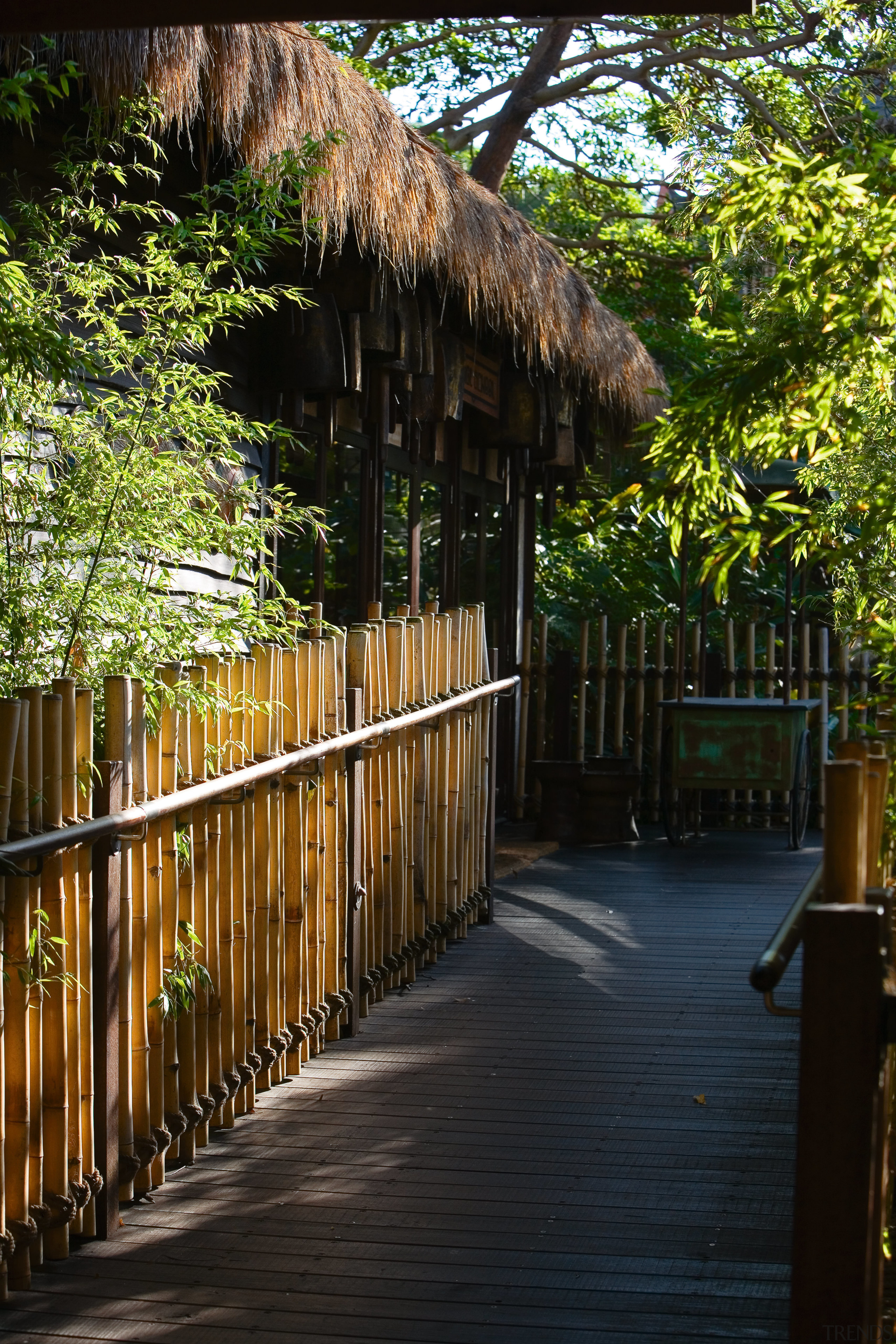 A view of the public walkways imersed in arecales, fence, house, leaf, outdoor structure, path, plant, tree, walkway, wood, black, brown