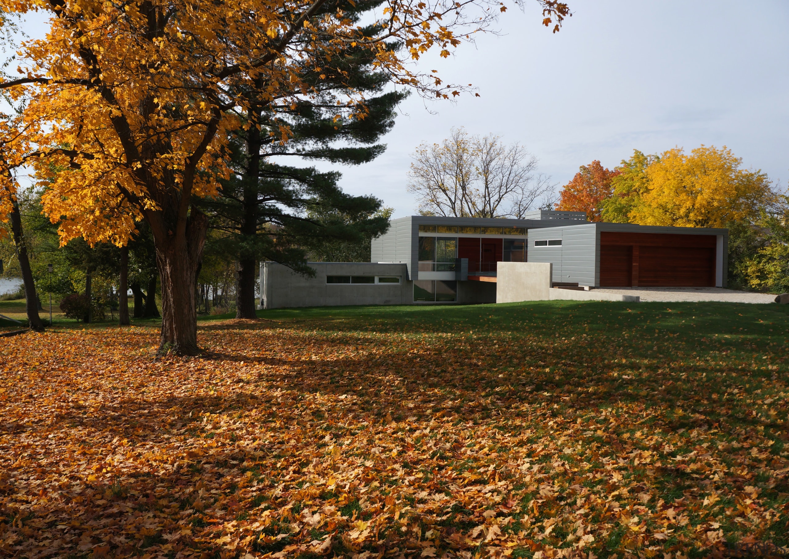 Modern riverside home with cantilevered upper level and architecture, autumn, cottage, estate, farmhouse, grass, home, house, landscape, leaf, park, plant, property, real estate, sky, sunlight, tree, brown