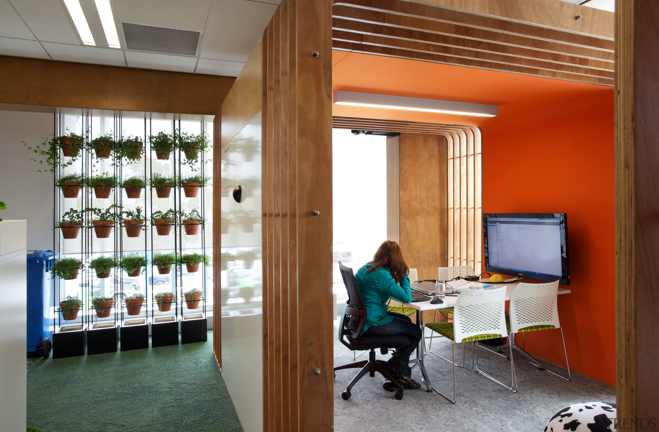 The Hairy Lemon offices in Young Hunter House ceiling, institution, interior design, brown