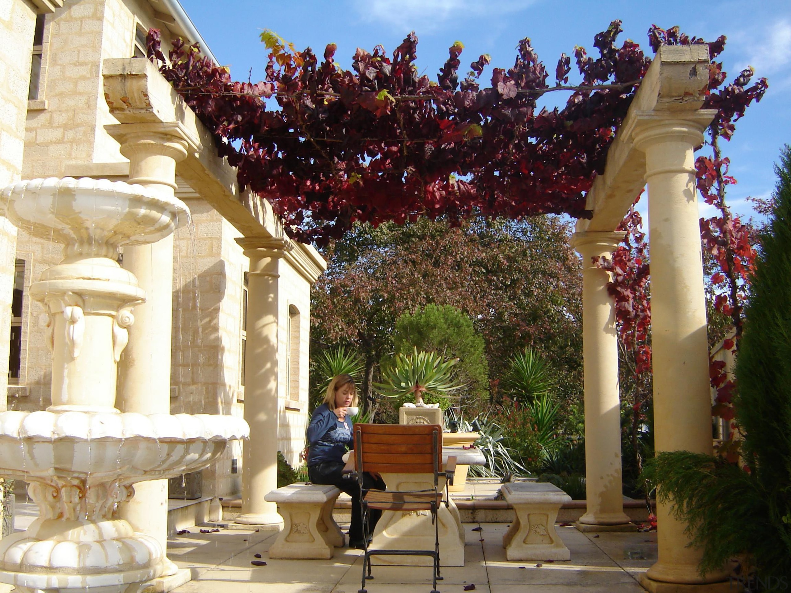 This flagstone paved courtyard with grape vine covered column, outdoor structure, structure, tourist attraction, tree, brown