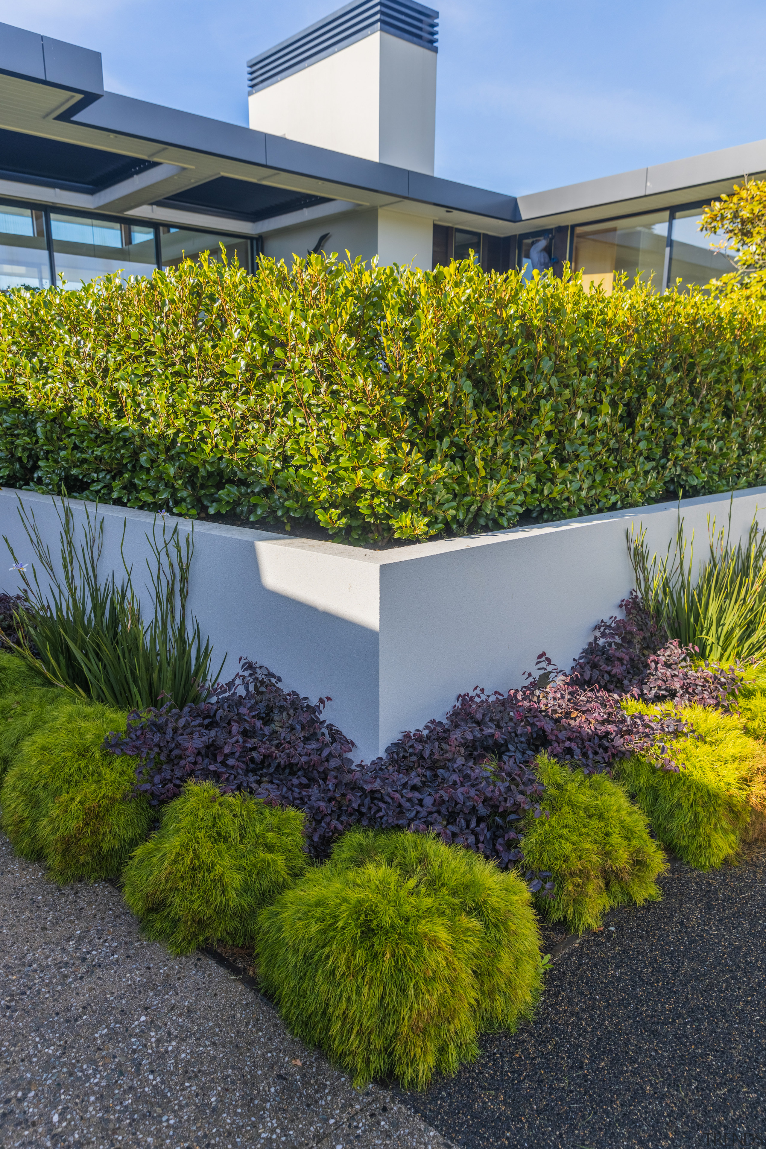 Hedging – Grisilinia Cobb. - Sea breeze - 