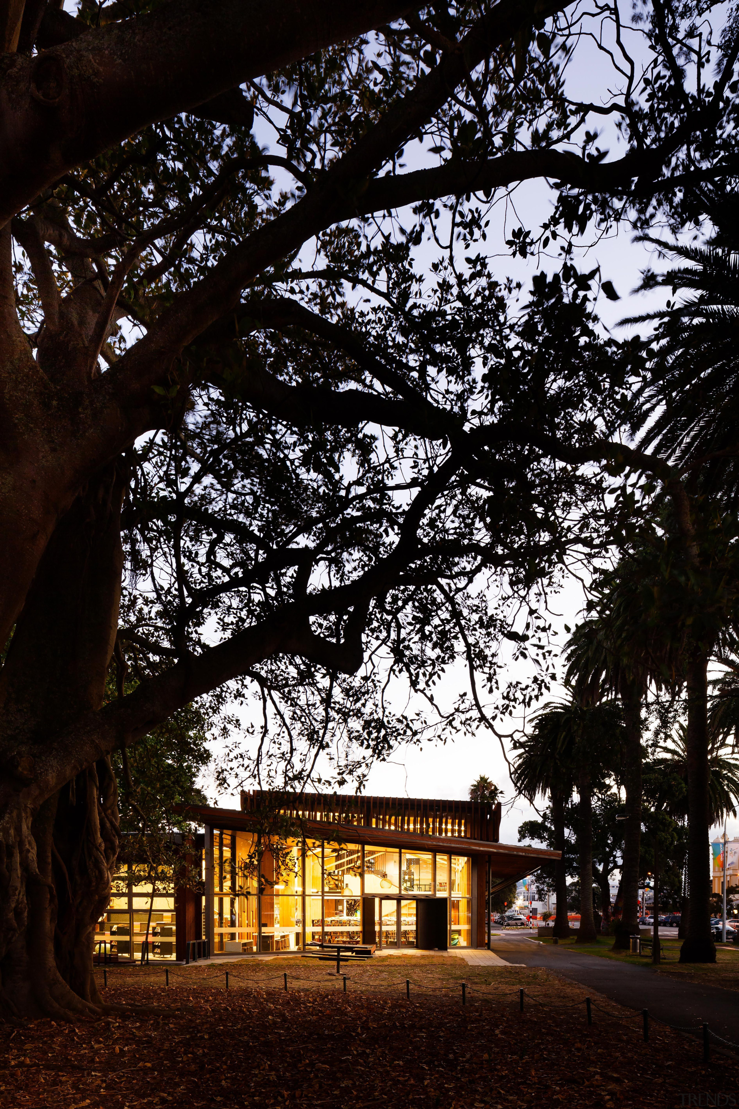 Coffey Education and Arts Property Award – Excellence architecture, branch, building, evening, house, leaf, lighting, morning, night, plant, sky, sunlight, tree, woody plant, black