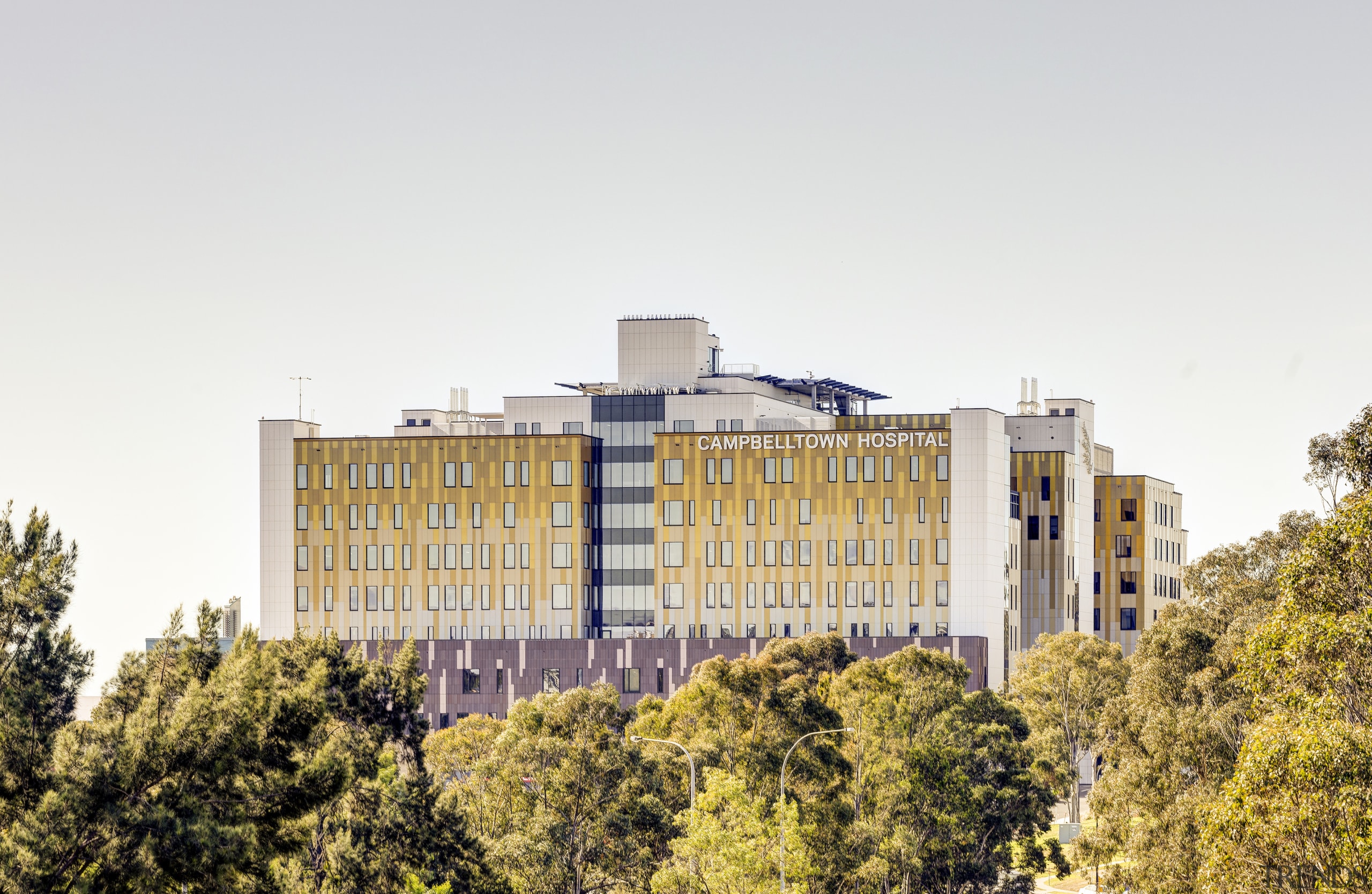 The western facade among the treetops. Photography by 