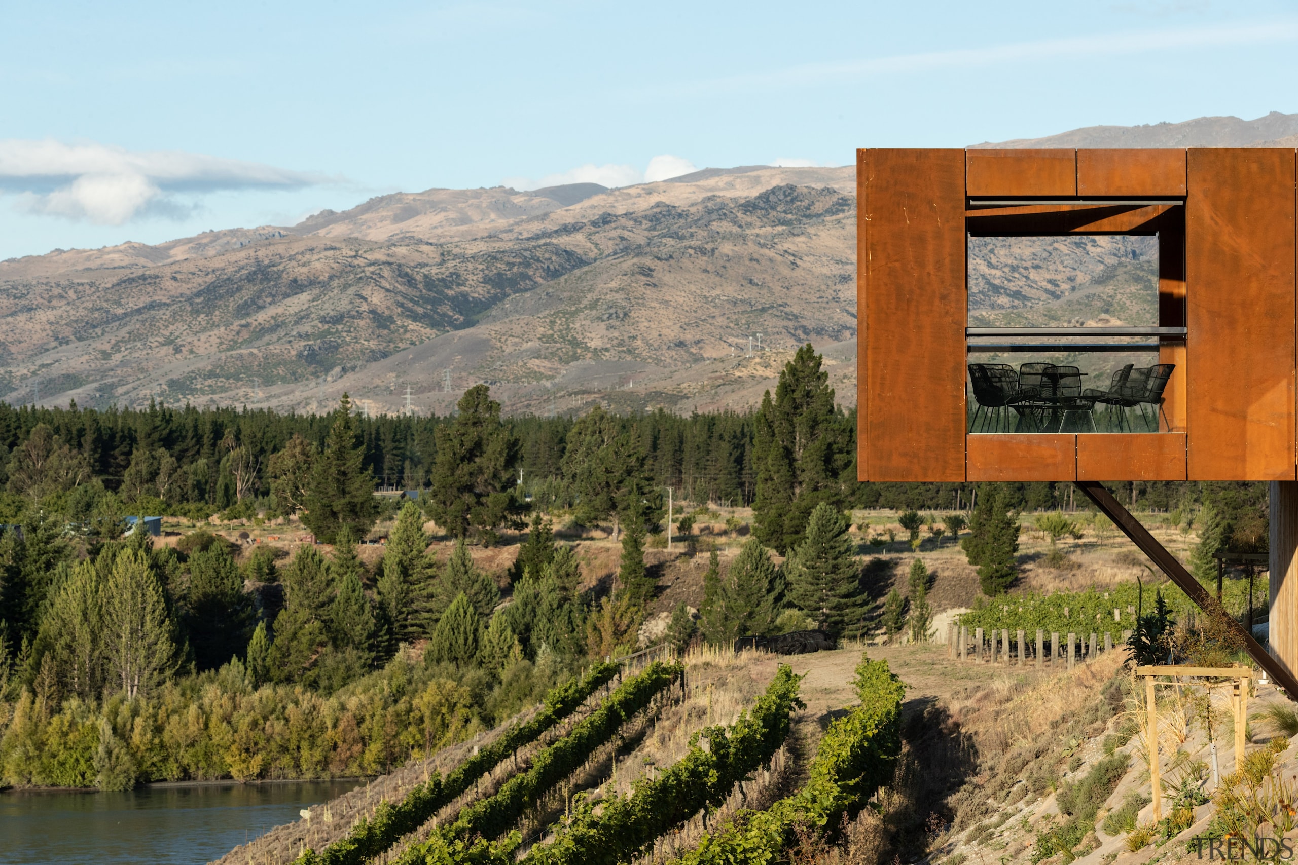 Just hangin' out with a wine or two. brown