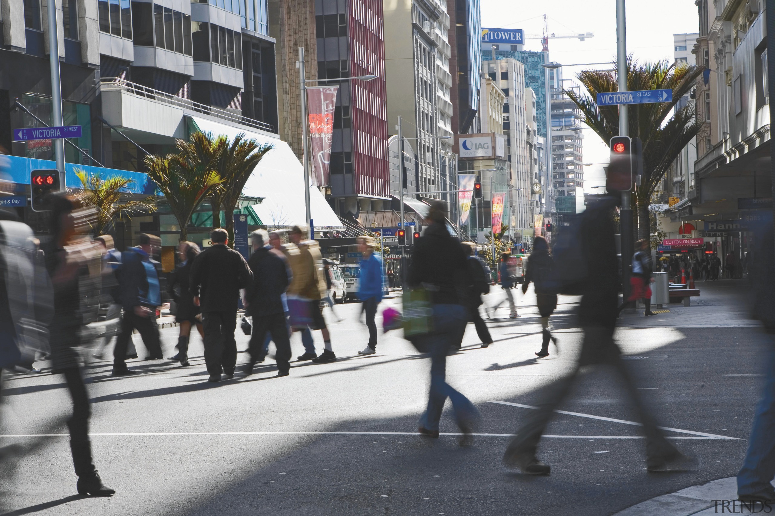 Image of the beautiful Auckland City. - Image city, crowd, downtown, infrastructure, lane, pedestrian, public space, recreation, road, street, town, urban area, walking, black, gray