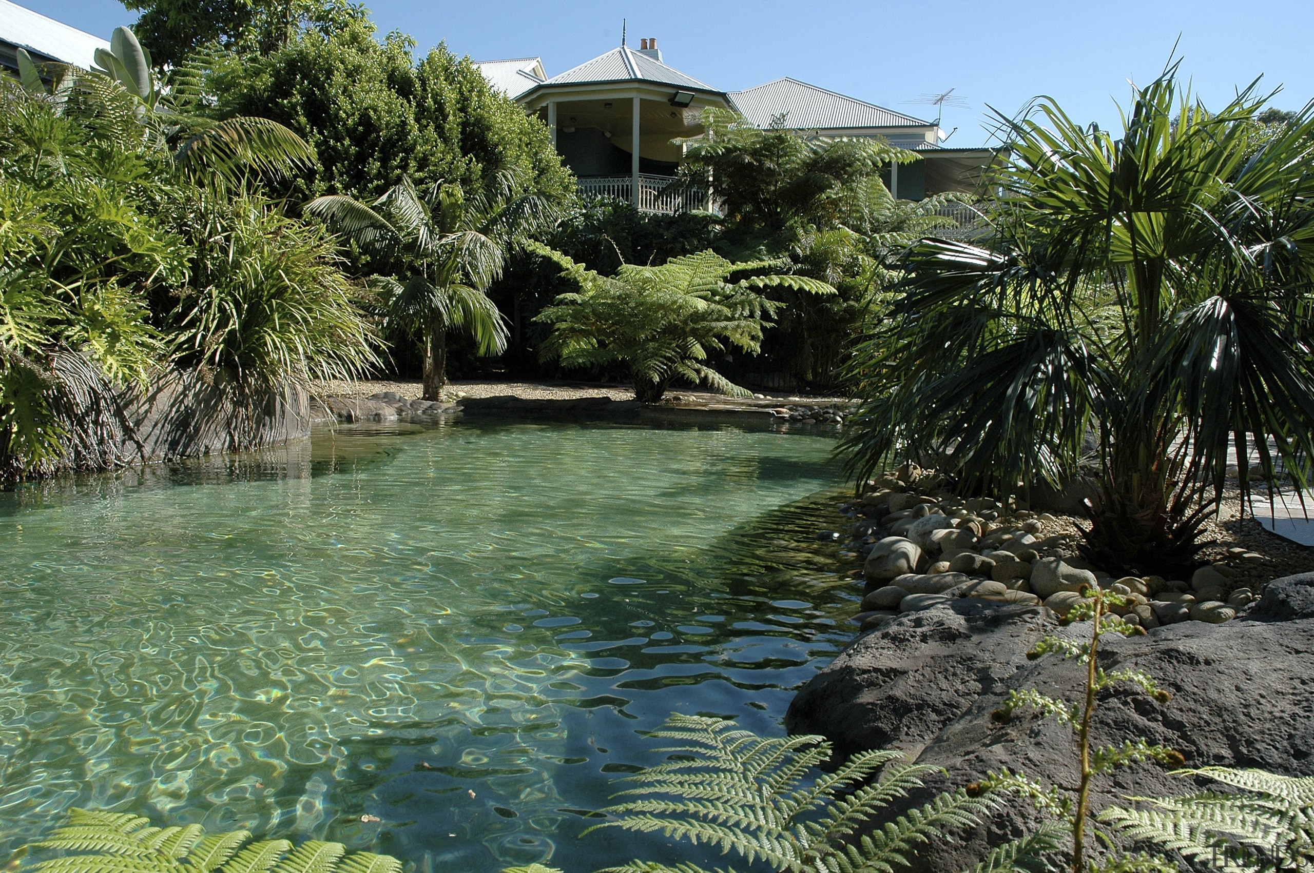 Contemporary home. Victorian. Fairlight Developments. Director Henry Ayala. arecales, biome, estate, palm tree, plant, pond, real estate, reflection, resort, sky, swimming pool, tree, tropics, vegetation, water, water resources, green