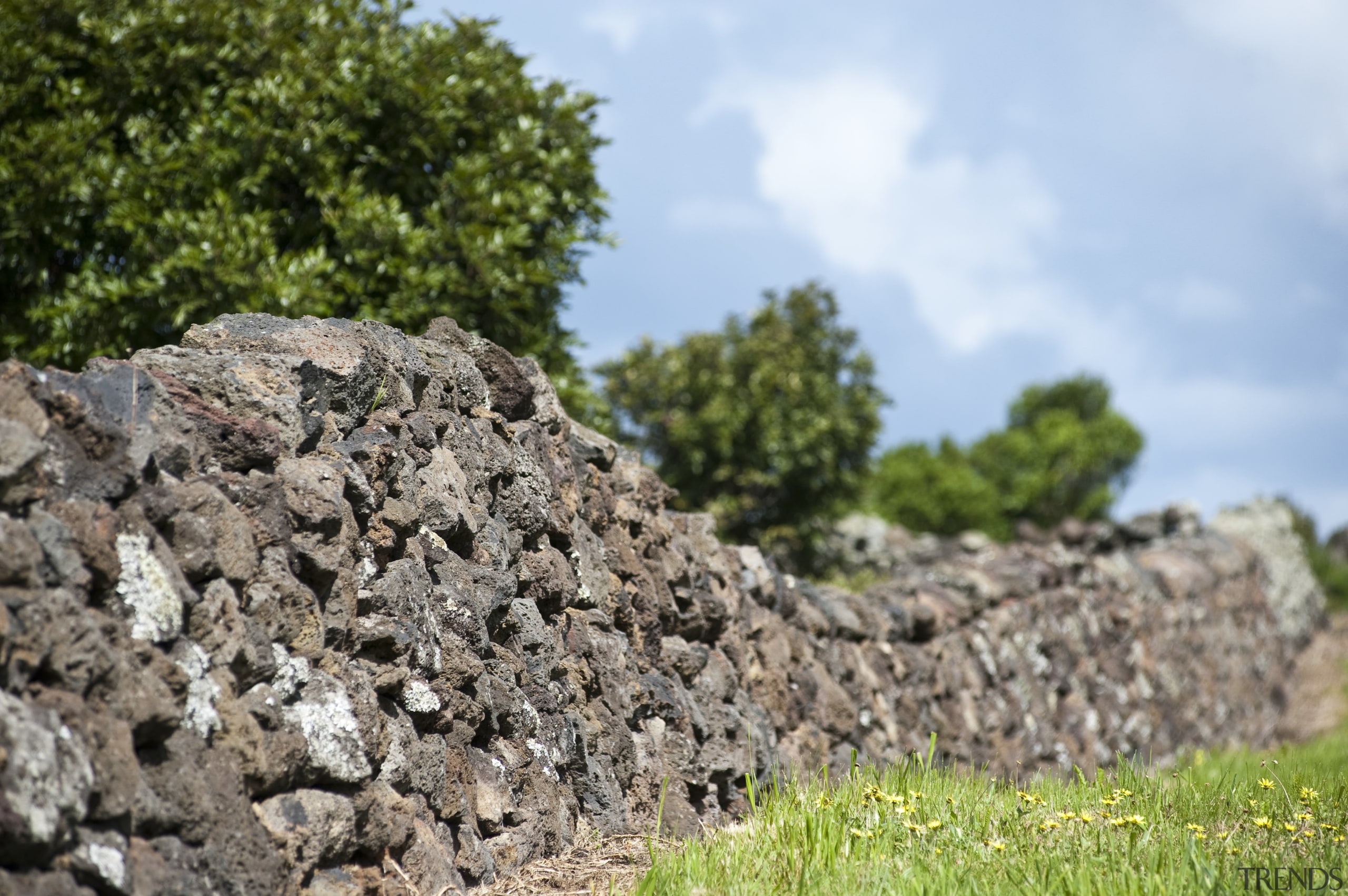 View of Mt Wellington stone walls. - View bedrock, geology, grass, landscape, outcrop, rock, sky, soil, stone wall, tree, wall, gray, teal