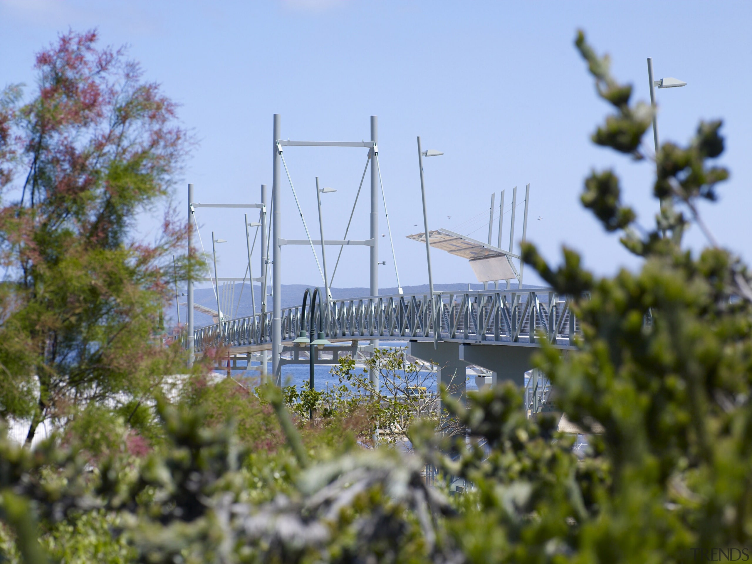 Work is underway to develop the Albany waterfront grass, plant, sky, tree, teal, brown