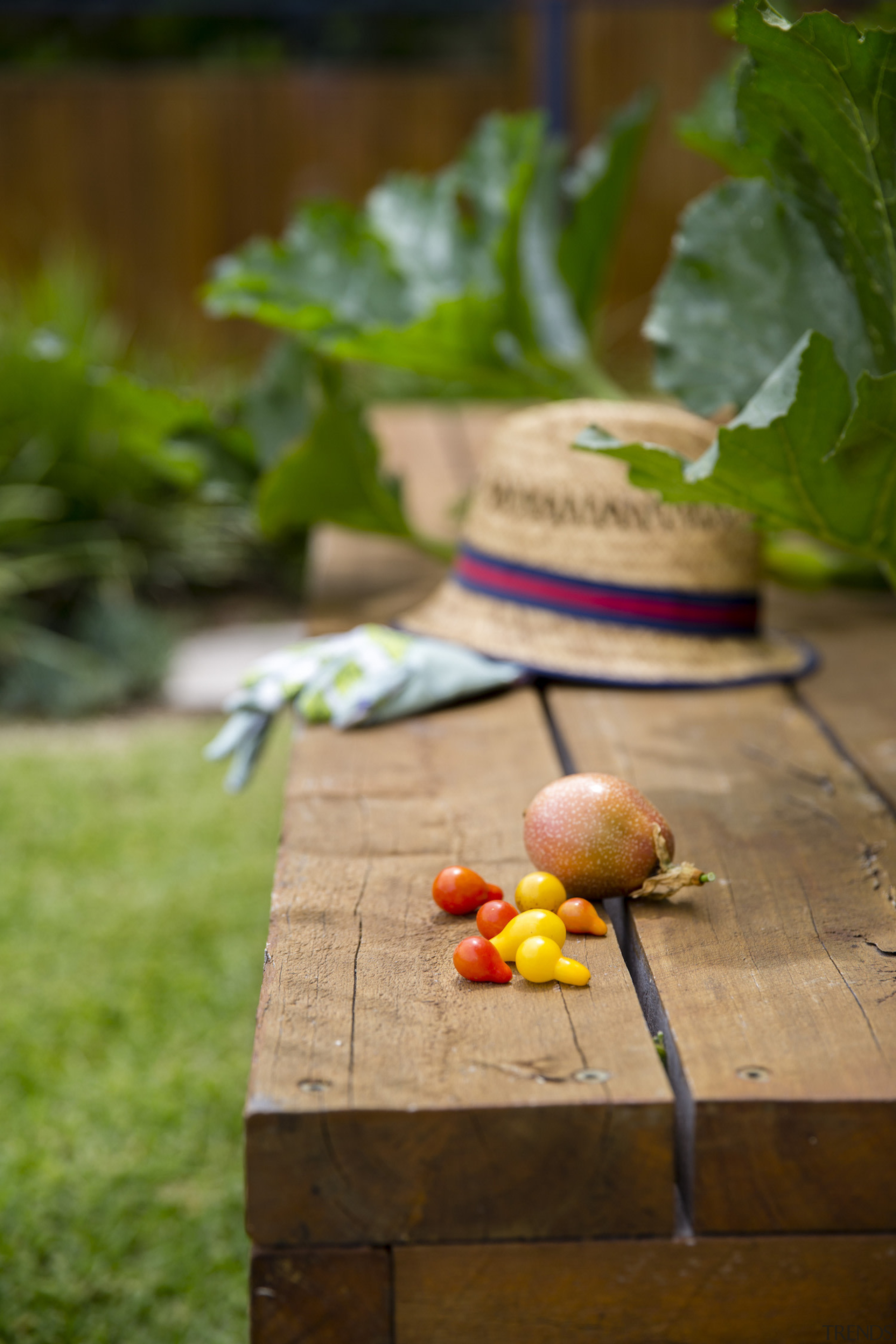 Vegie Patch By Landart Landscapes. Photography: Jason Busch leaf, plant, still life, still life photography, wood, brown