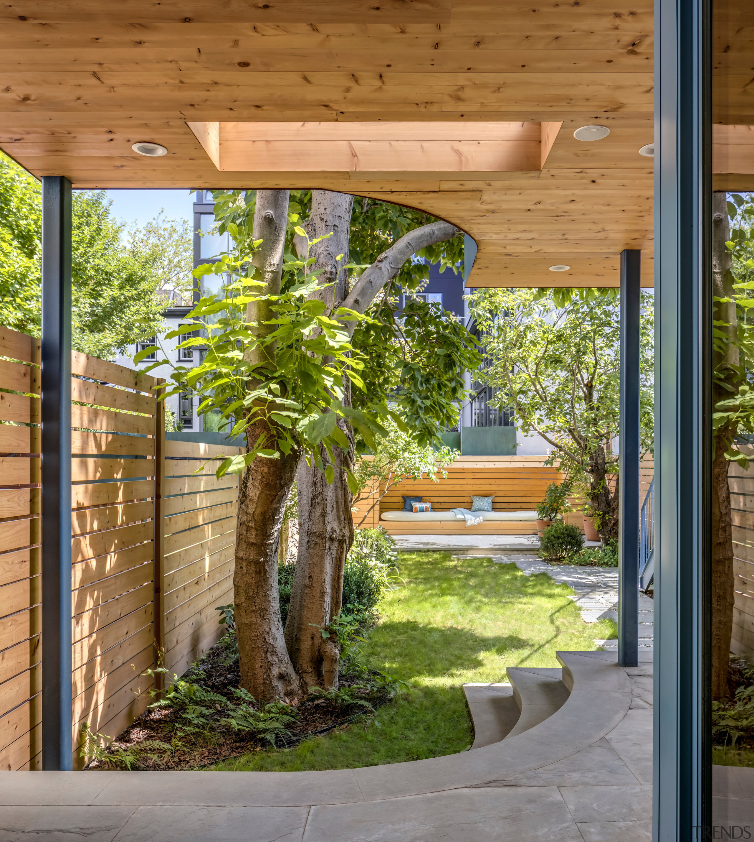 Skylight and curved paving around the precious magnolia 