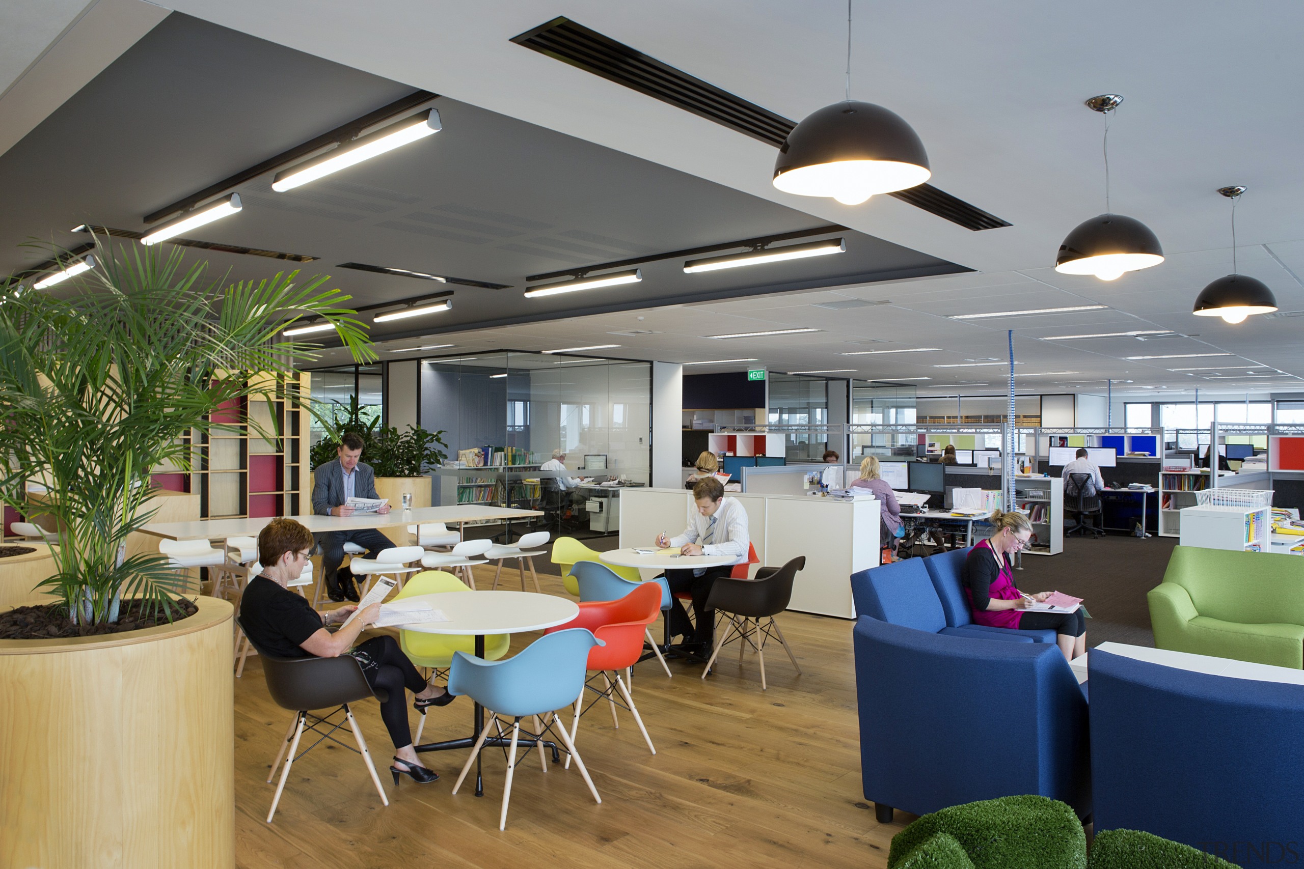 Future proofing is a feature of ANZ Tauranga, cafeteria, interior design, gray