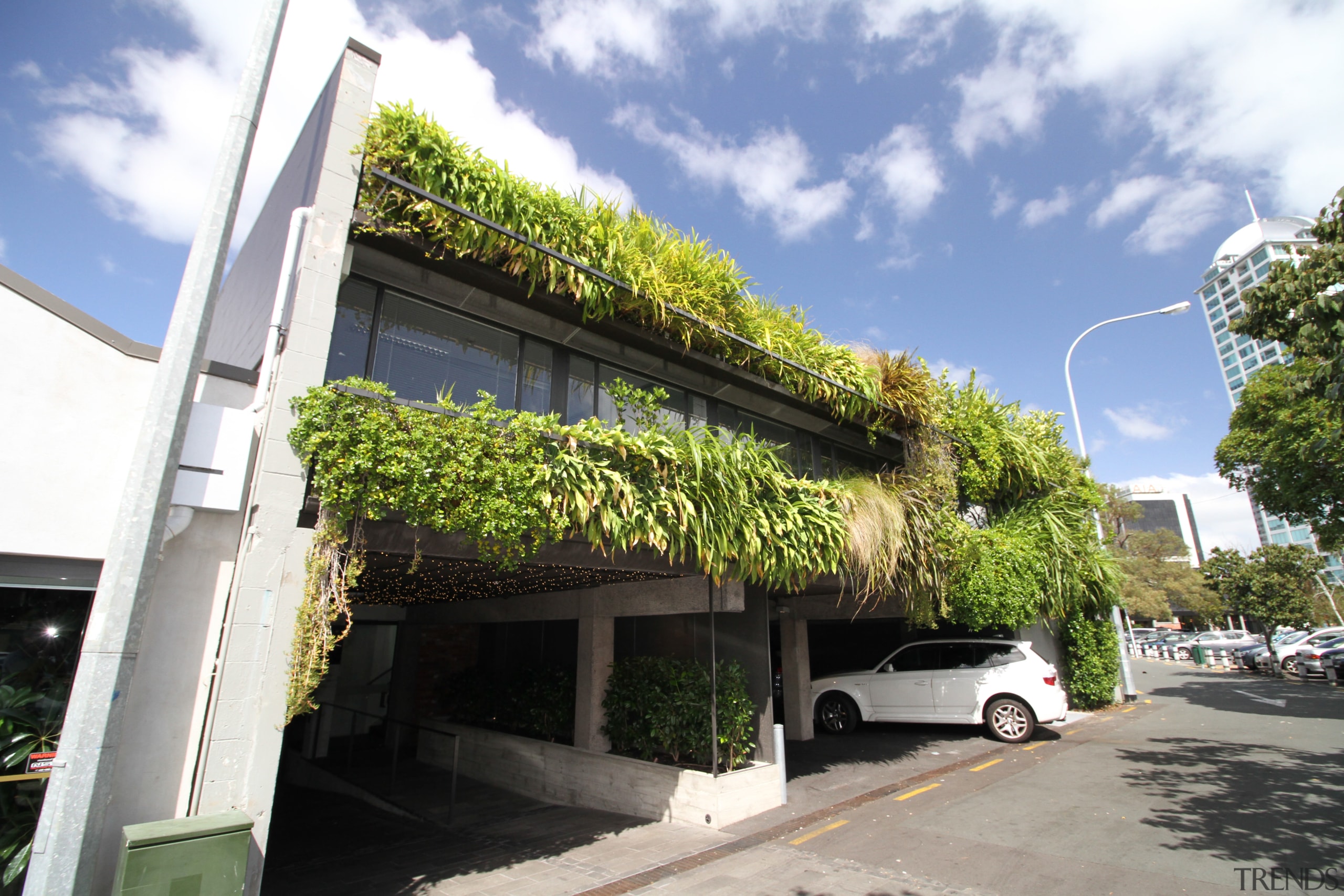 Green walls can provide acoustic and thermal properties building, condominium, facade, house, plant, property, real estate, residential area, roof, tree, white