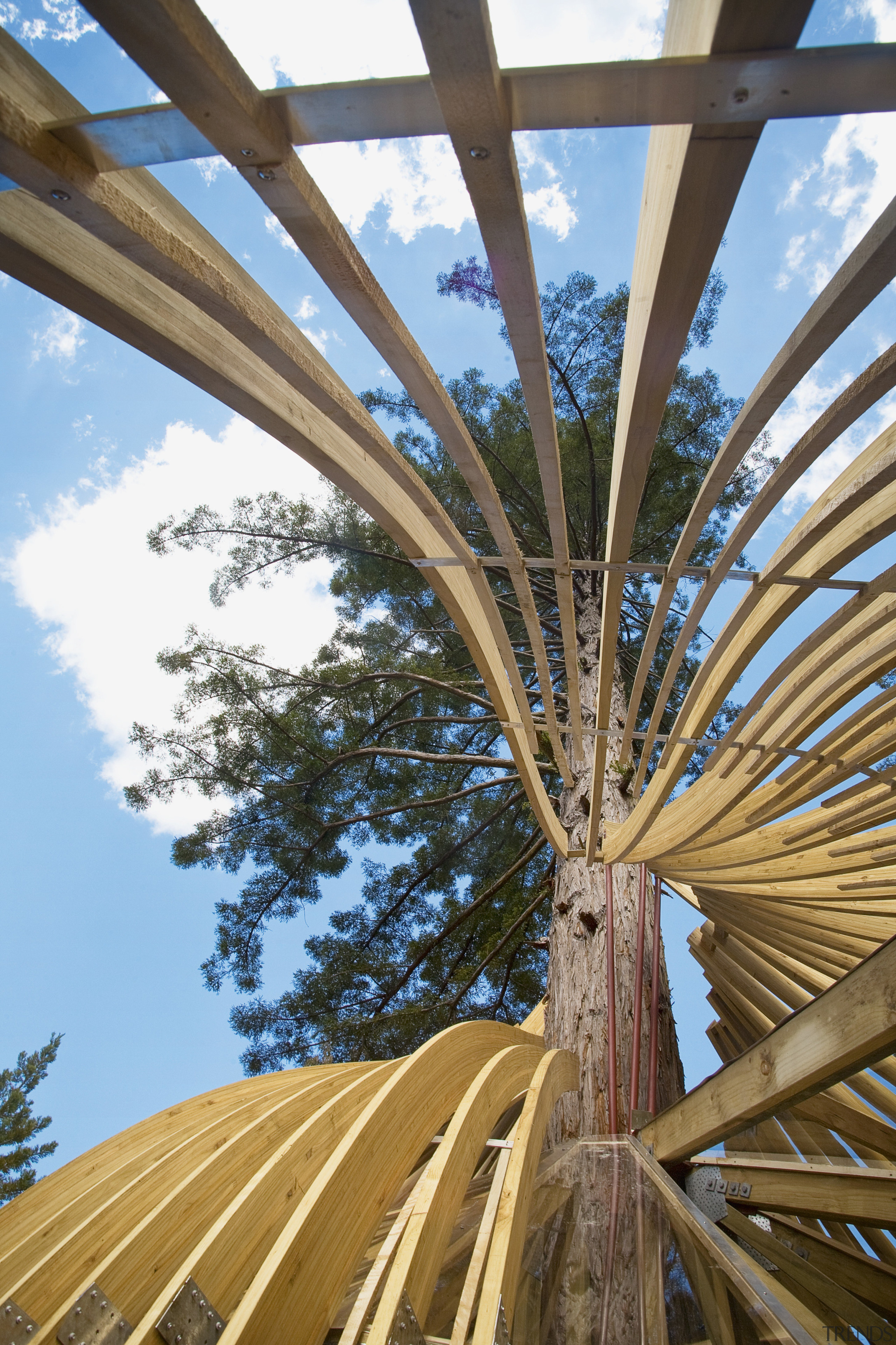 Image of the Yellow Treehouse restaurant which has arecales, outdoor structure, palm tree, plant, roof, sky, tree, wood, brown