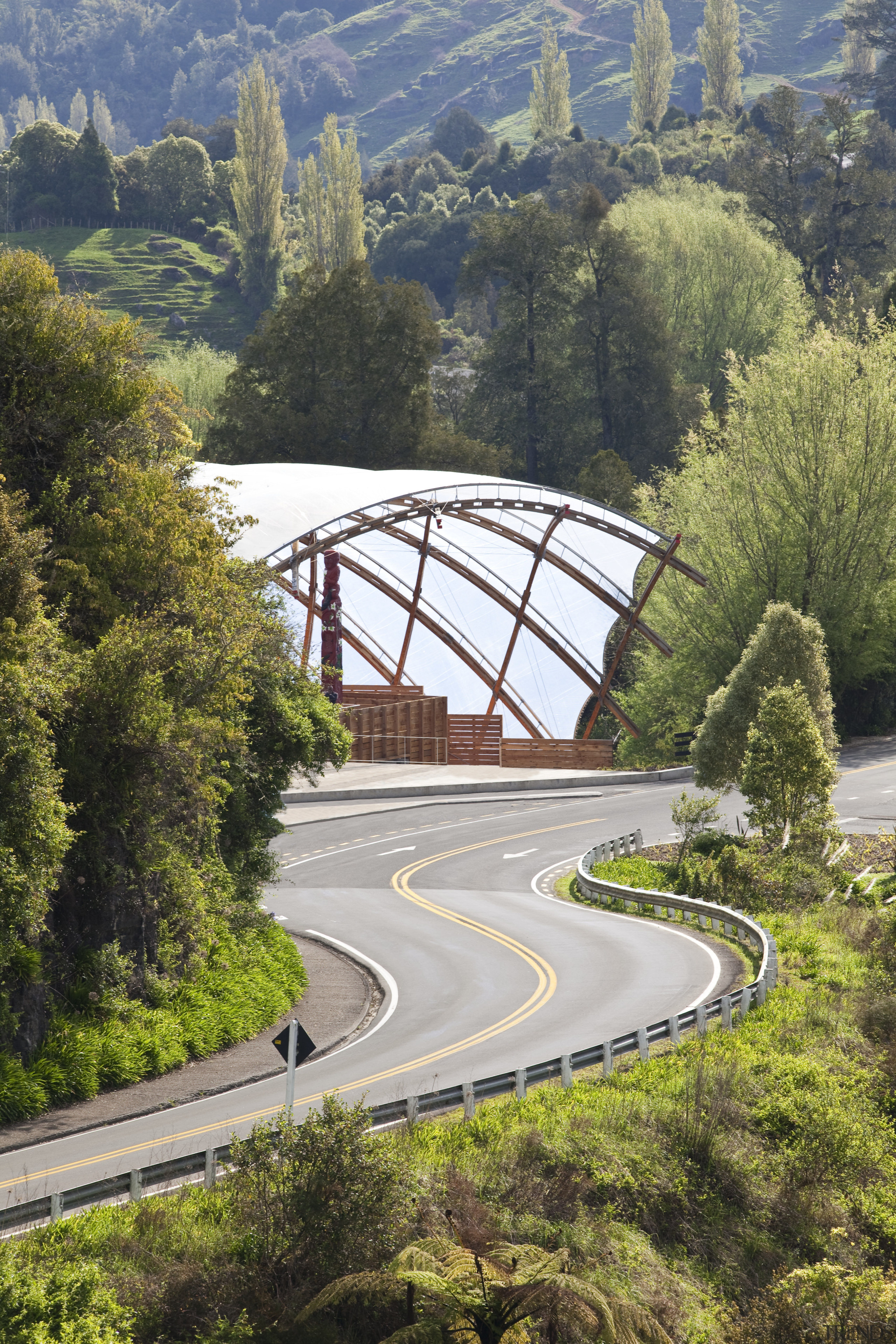 View of the canopy at the Waitomo Caves bridge, fixed link, highway, plant, road, sky, tree, brown, gray