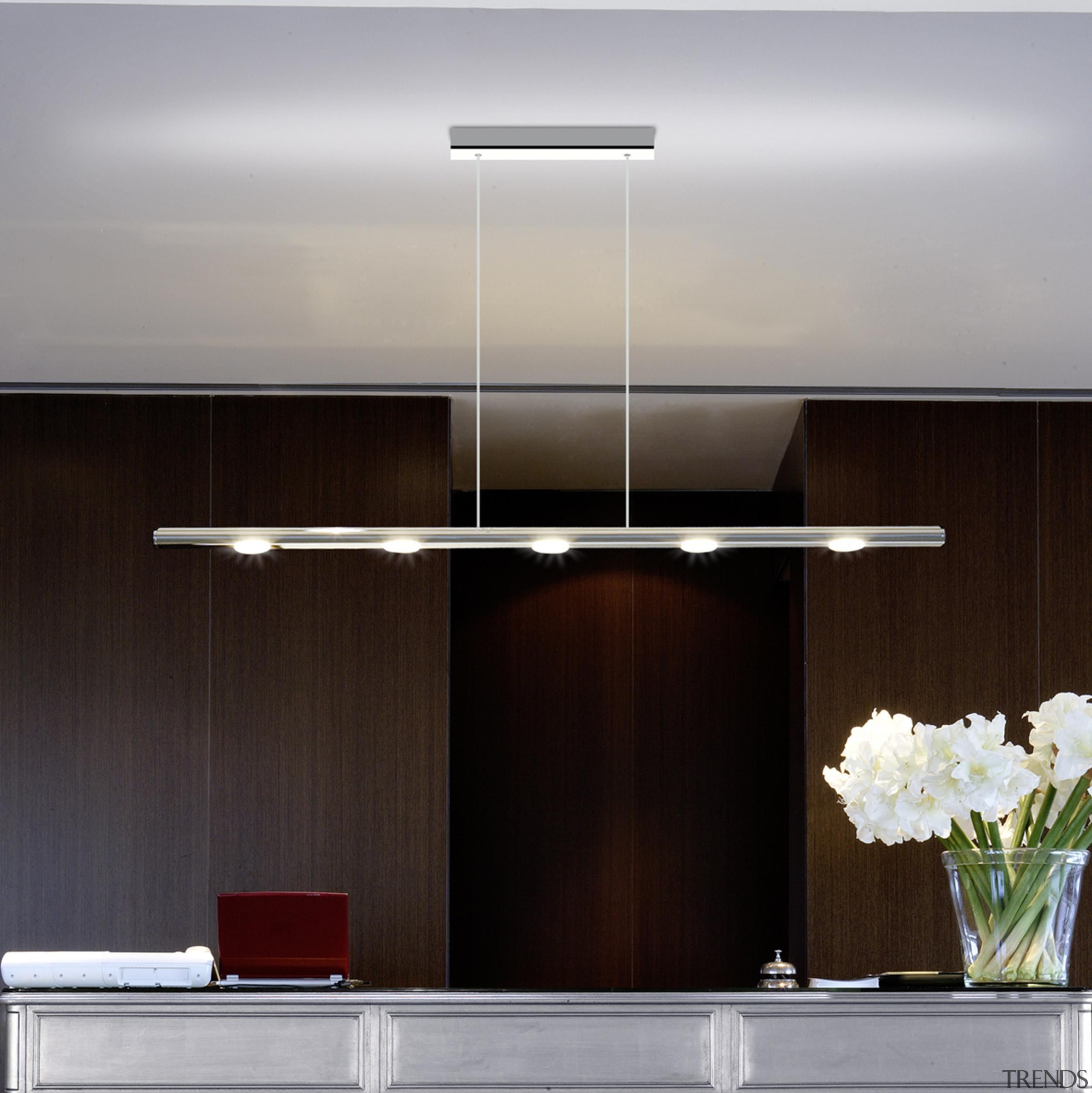 Pendant Light - Pendant Light - ceiling | ceiling, interior design, light, light fixture, lighting, product design, gray, black