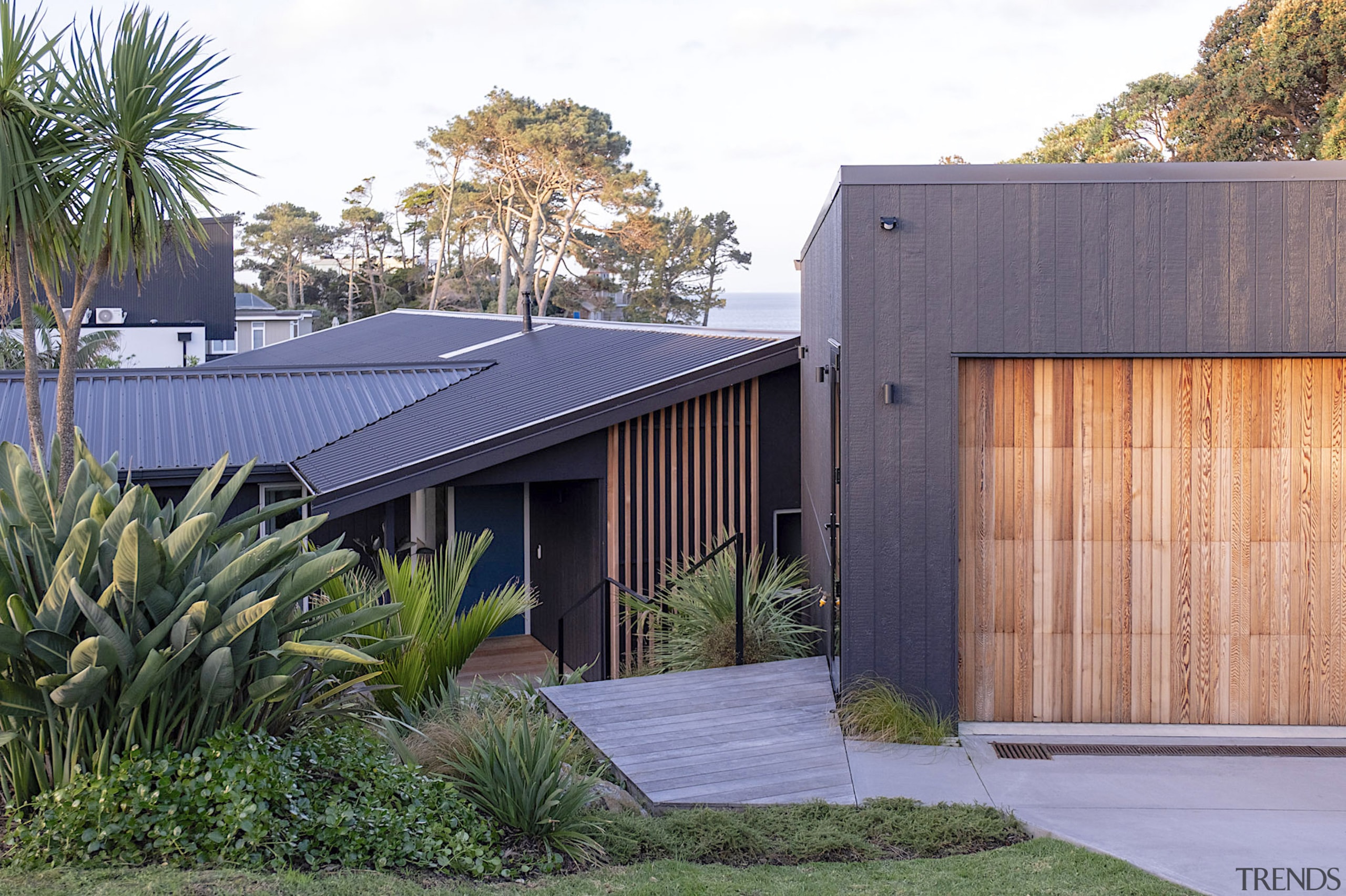 Some of the planting in the front berm 