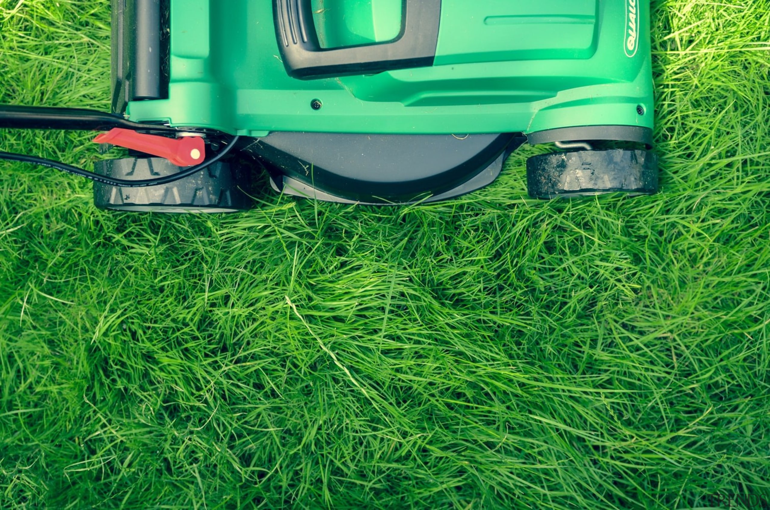 5 Reasons Your Lawn Doesn't Look the Way green