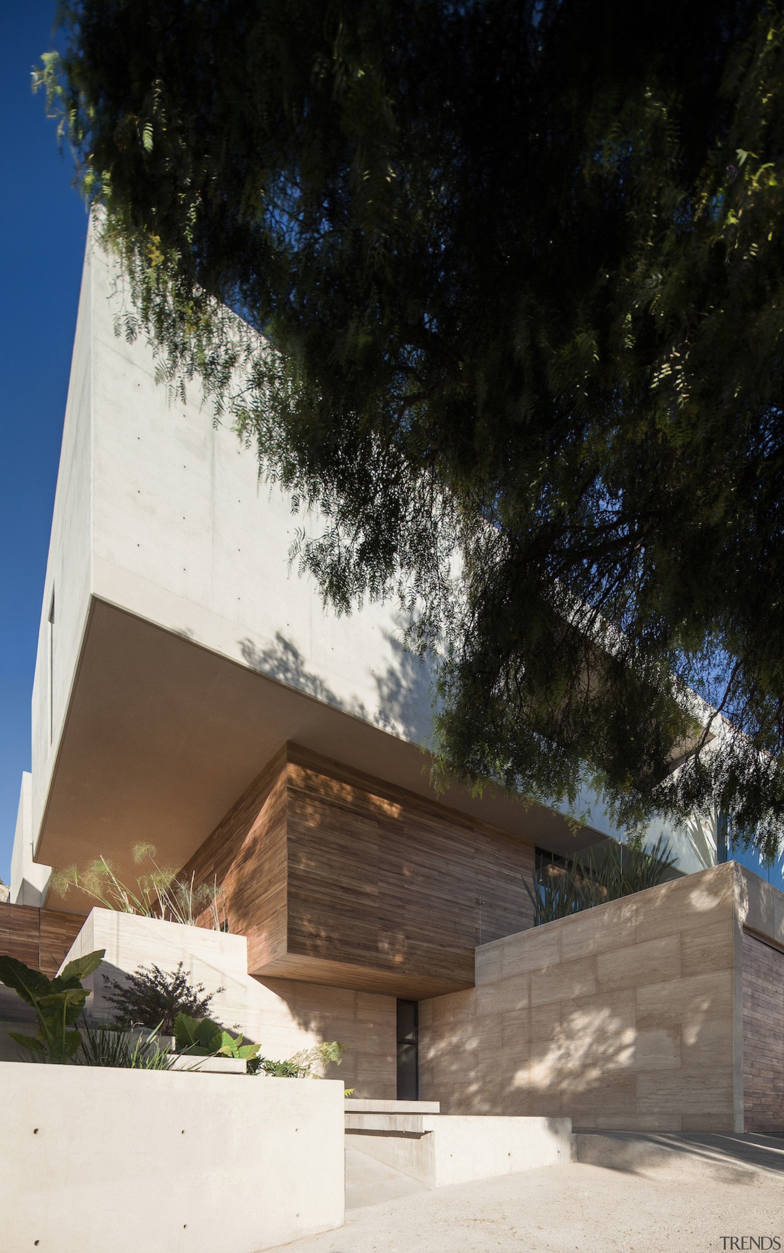 The tree runs up close to the home architecture, building, facade, home, house, property, real estate, residential area, sky, tree, wood, black