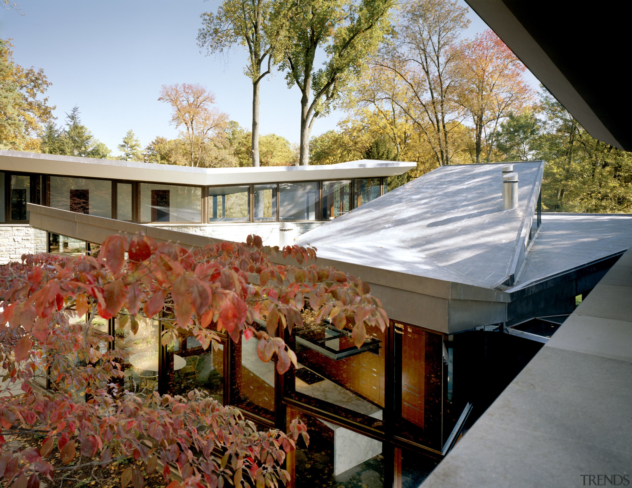 Butterfly roofs, which cover more than 6000sq ft, architecture, home, house, leaf, outdoor structure, plant, real estate, roof, tree, brown