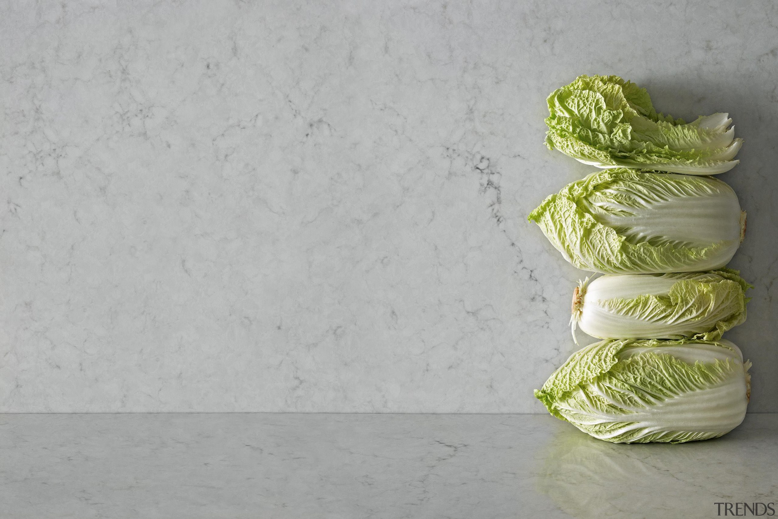 An eloquent opaque light grey with soft charcoal cabbage, green, produce, still life photography, gray