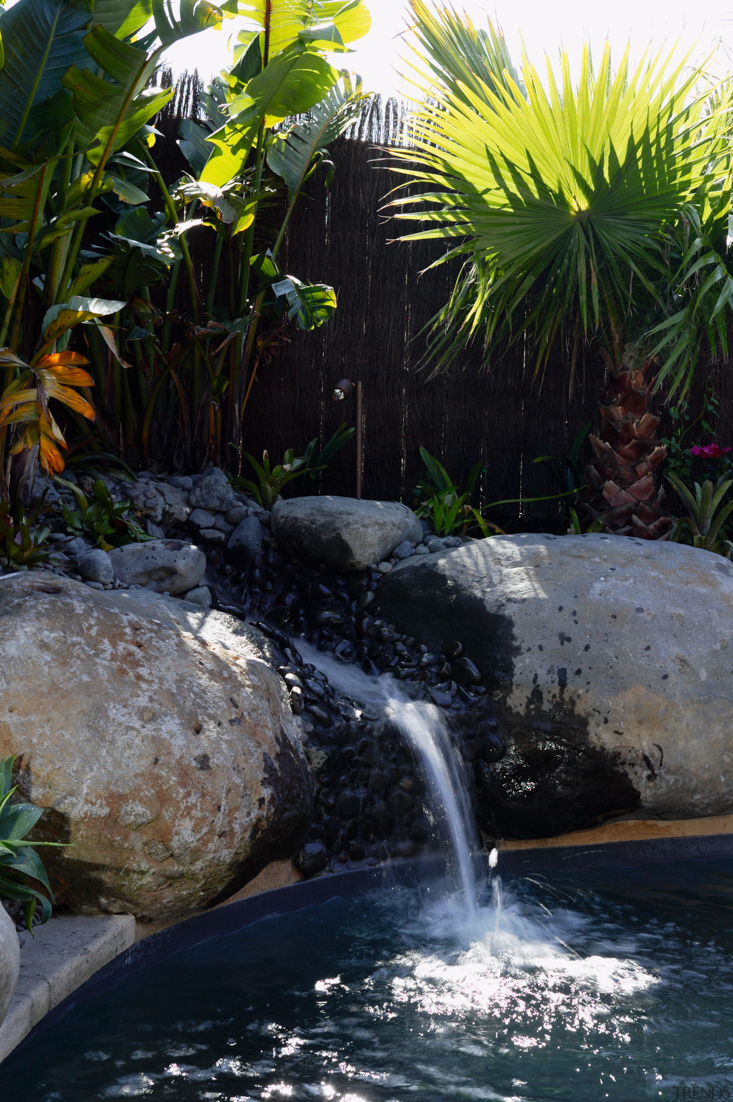 Closeup of waterfall feature going into swimming pool. arecales, body of water, landscape, landscaping, palm tree, plant, pond, swimming pool, tropics, vegetation, water, water feature, water resources, watercourse, waterfall, black