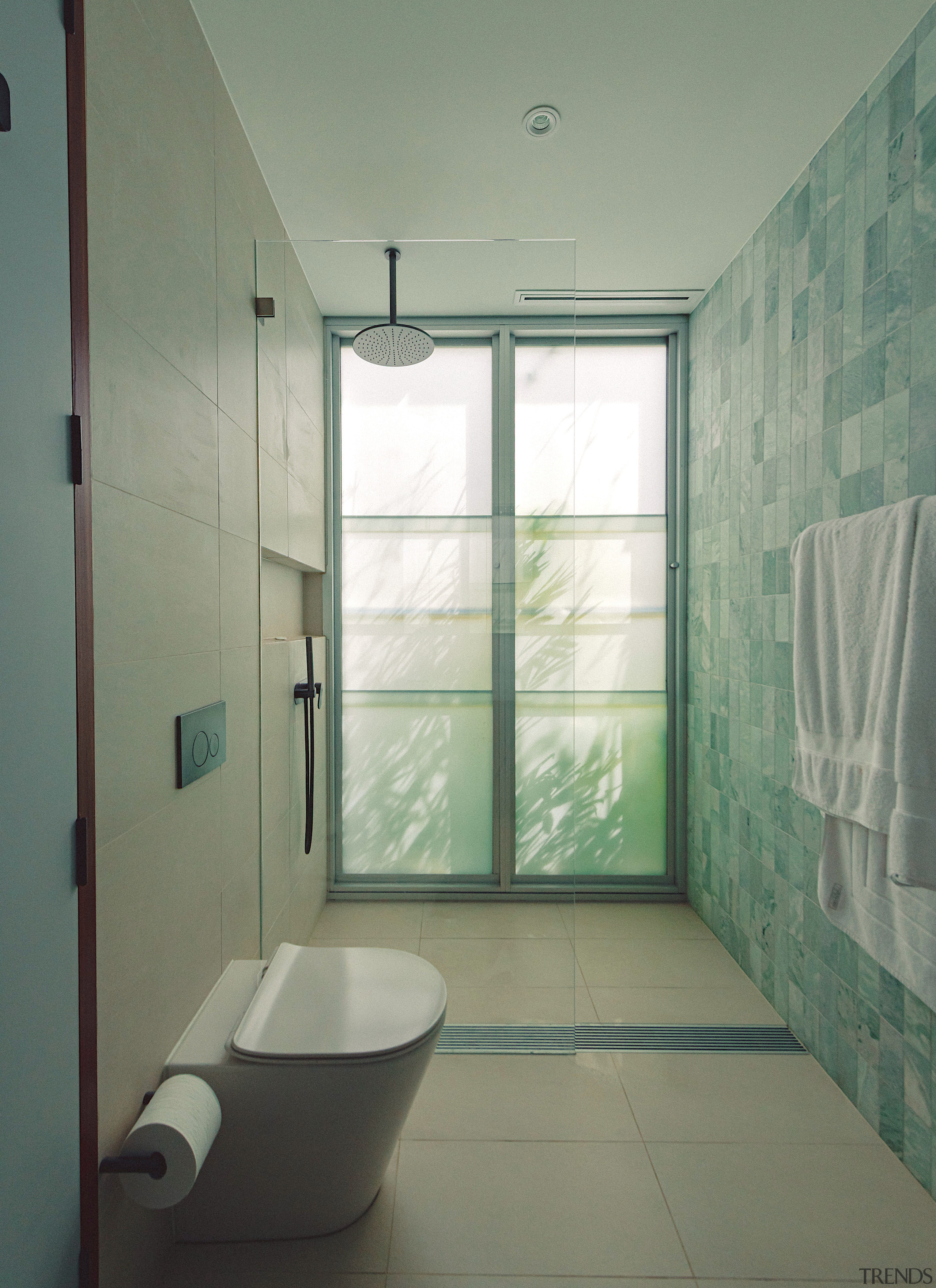 Private ground level bathroom. - Reaching for the 