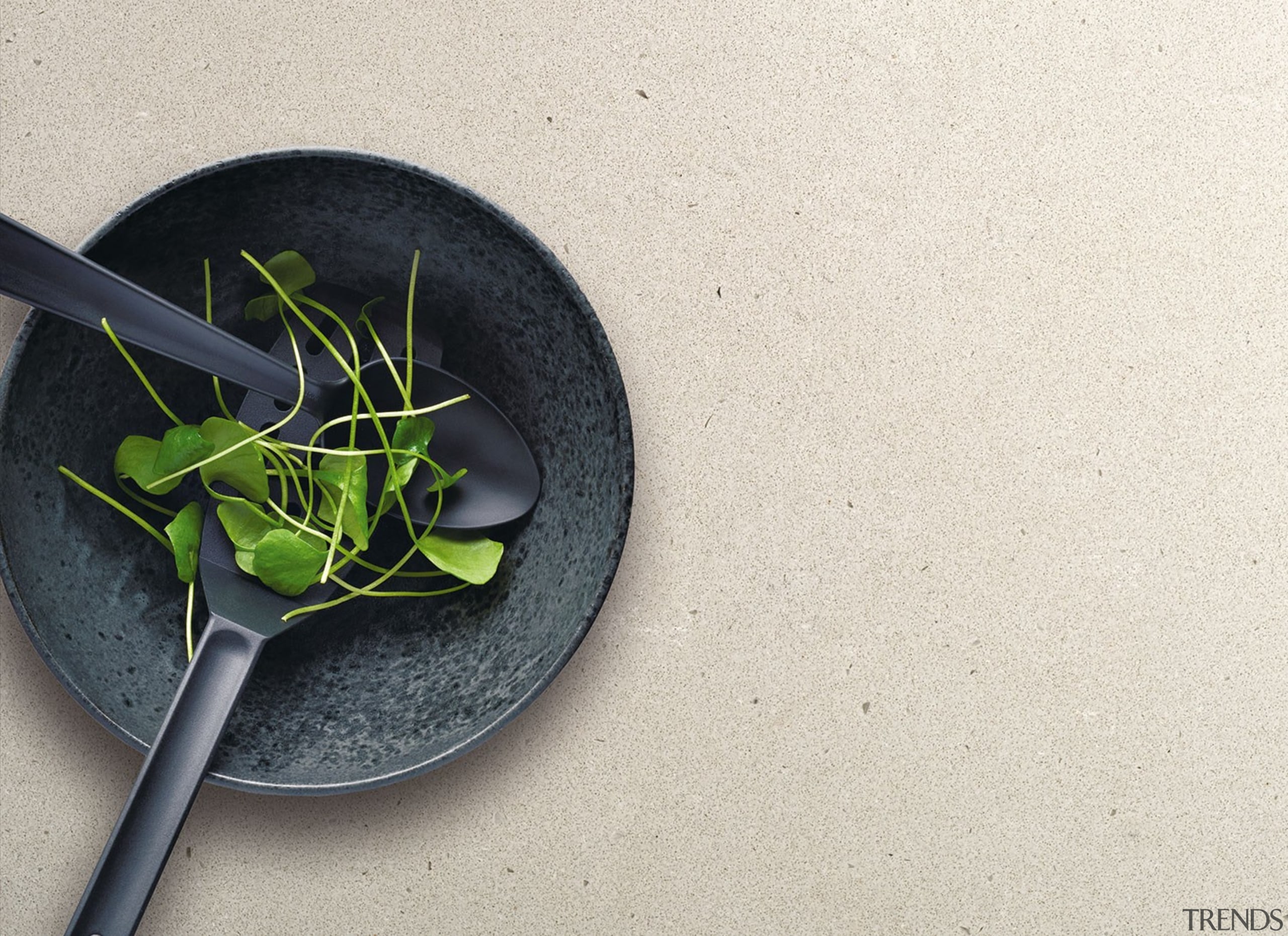 A delicate and clean modern industrial appearance of cutlery, fork, herb, product design, tableware, white