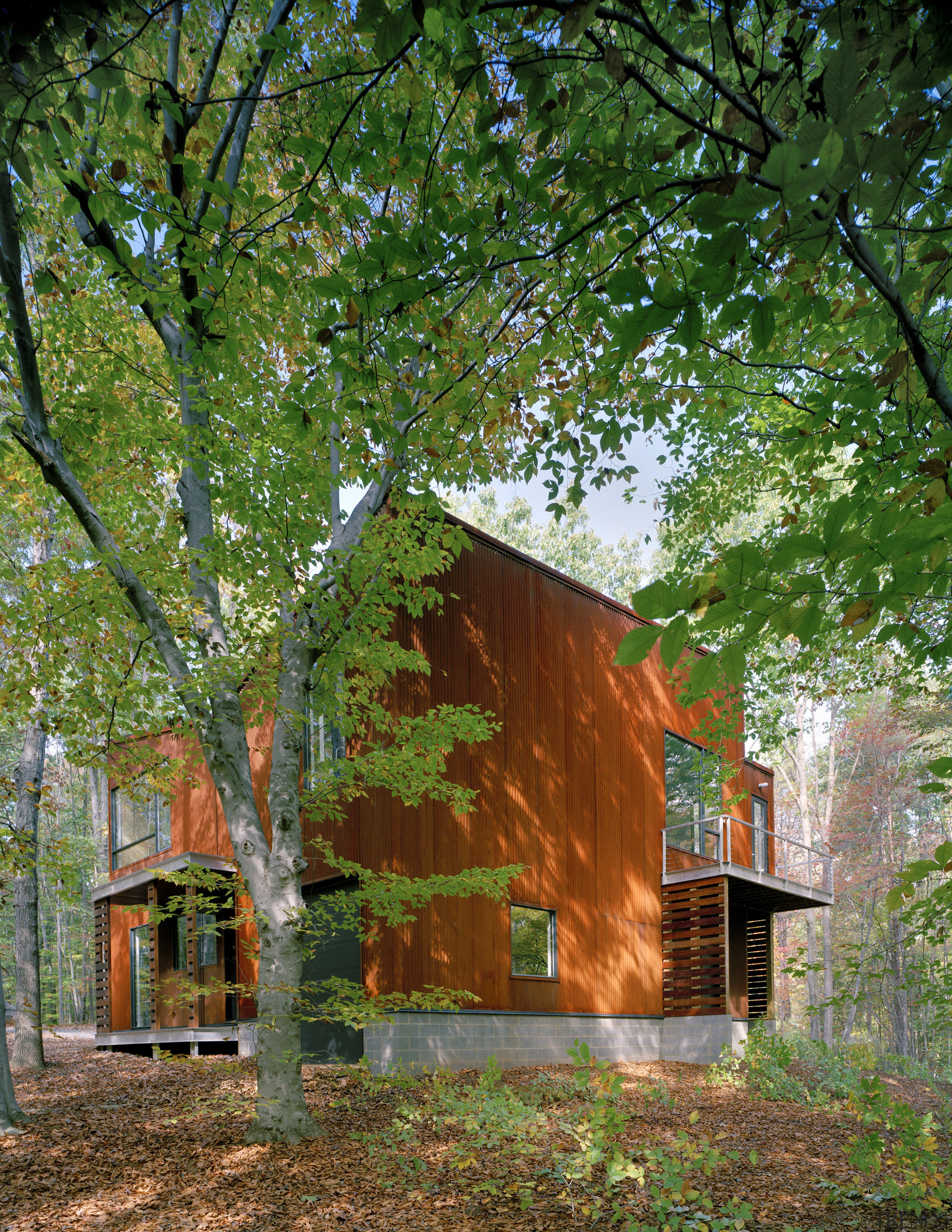Exterior view of this contemporary remodeled home - architecture, autumn, branch, cottage, deciduous, home, house, hut, landscape, leaf, log cabin, nature, plant, real estate, sunlight, tree, woodland, green, brown
