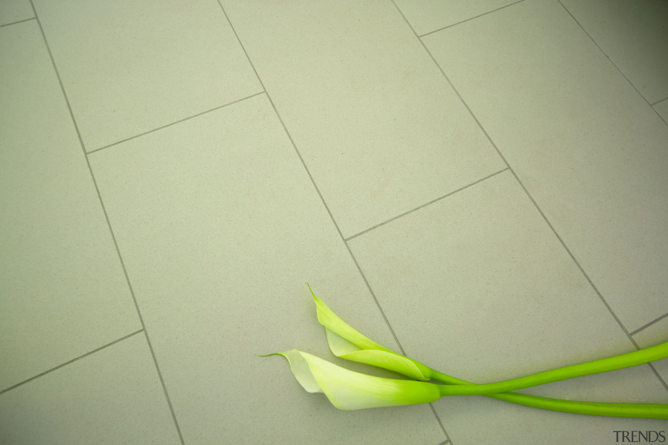 Close up of cream stone floor tiles, with floor, flooring, flower, green, leaf, line, plant, product design, tile, yellow, green