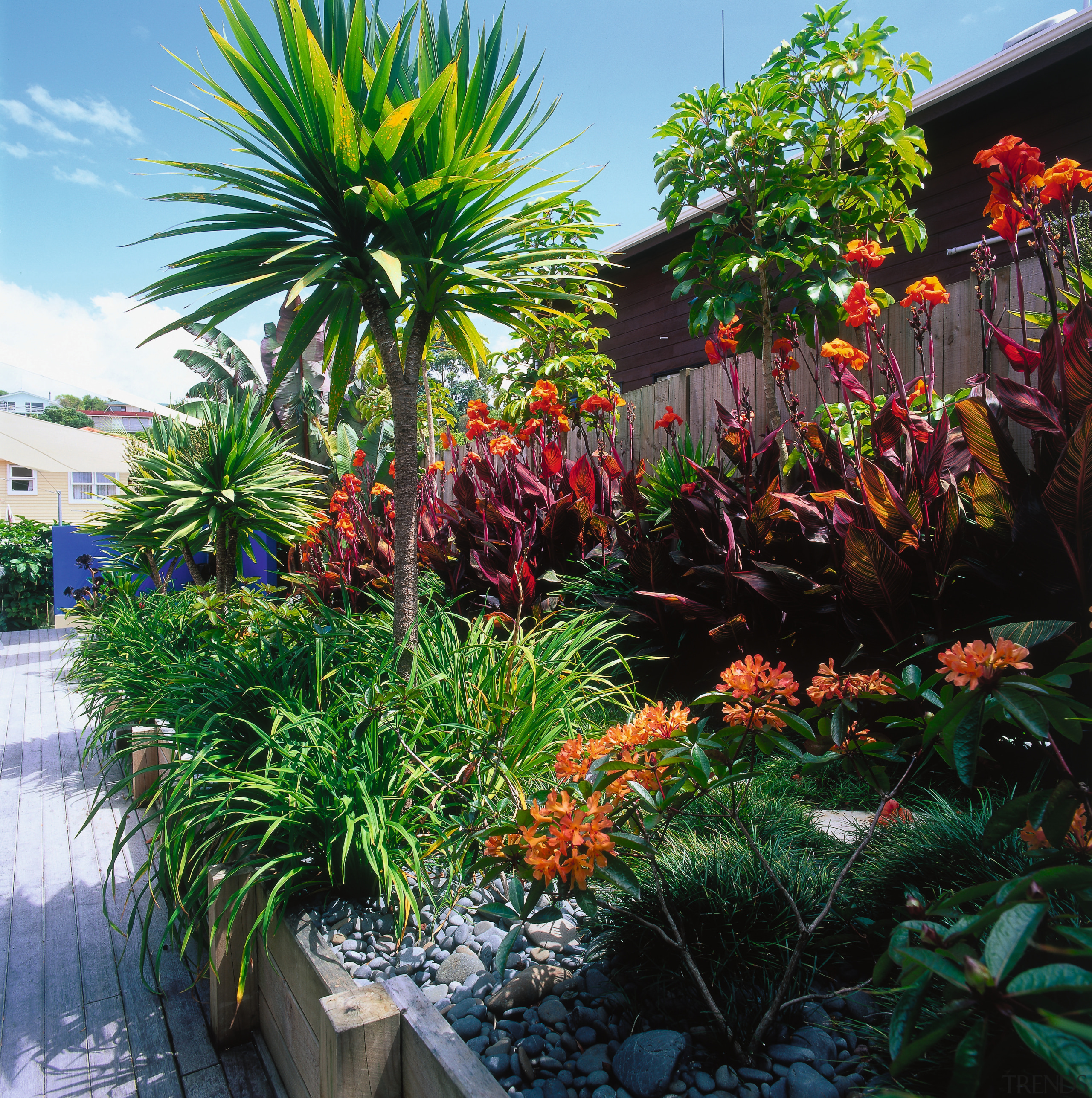 An exterior view of the patio and garden arecales, botanical garden, flora, flower, garden, landscape, landscaping, palm tree, plant, shrub, tree, tropics, vegetation, black, green