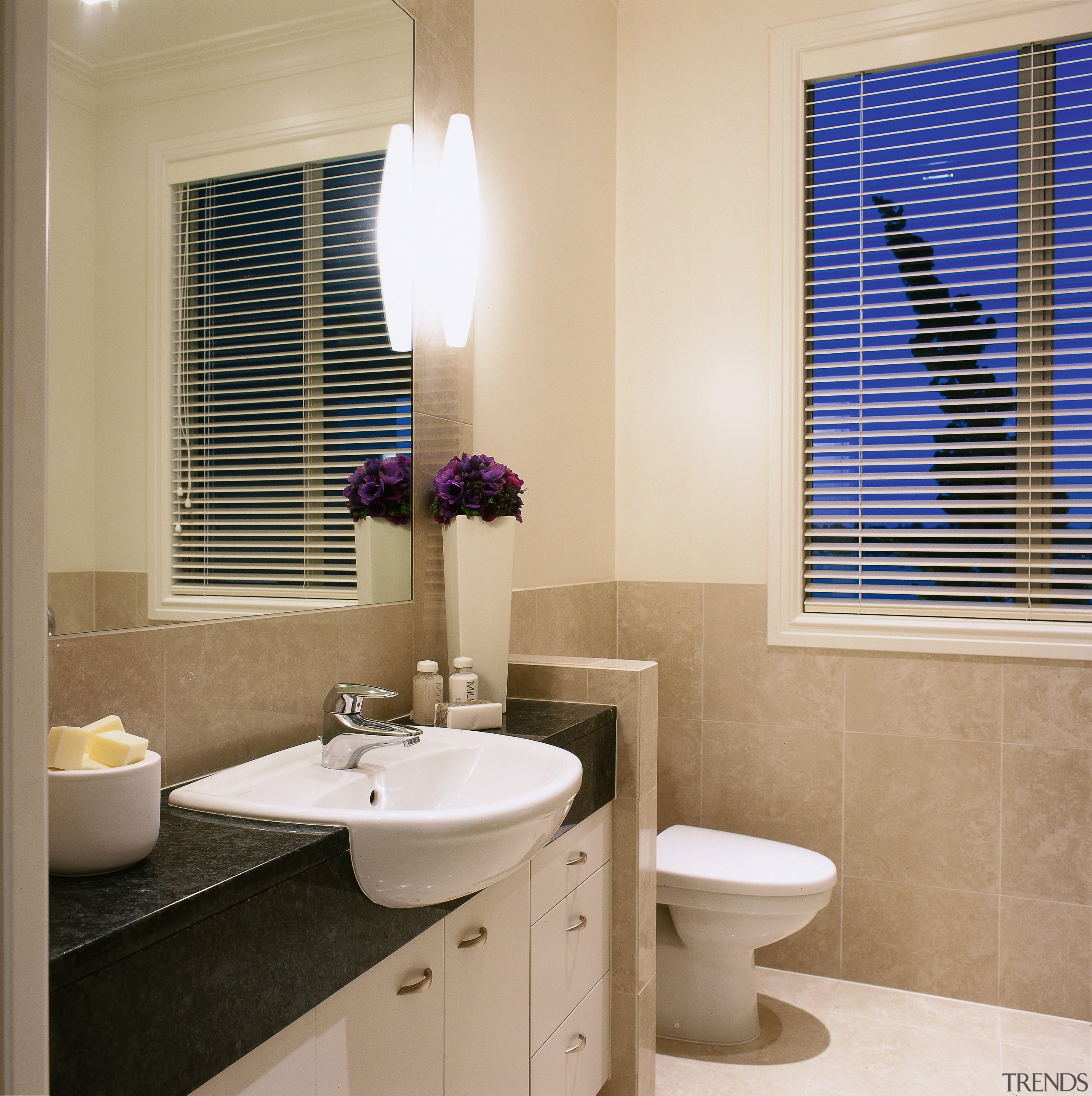 view of the bathroom area with tiled walls/floor bathroom, bathroom accessory, home, interior design, room, sink, window, window blind, window covering, window treatment, gray