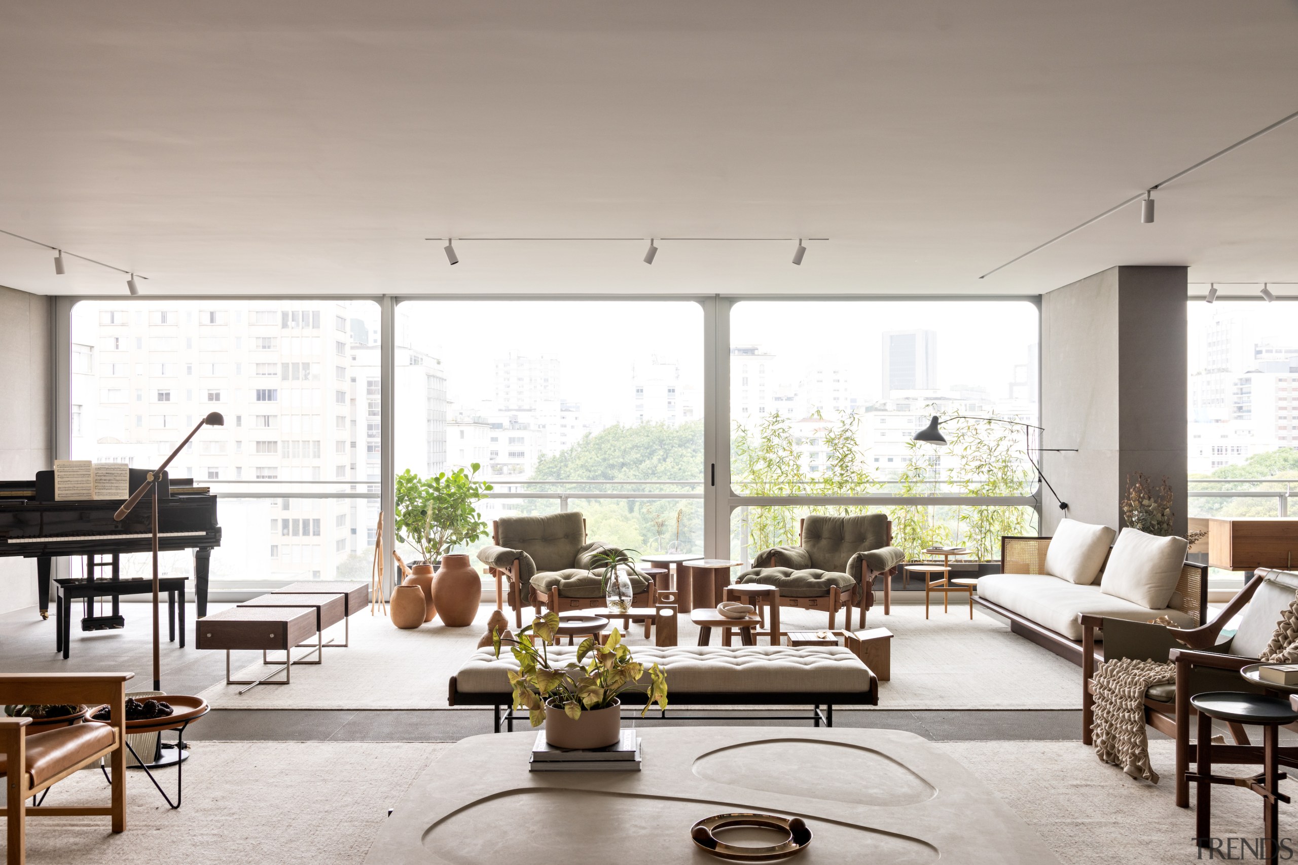 Architect: The principal living space with softening furniture 