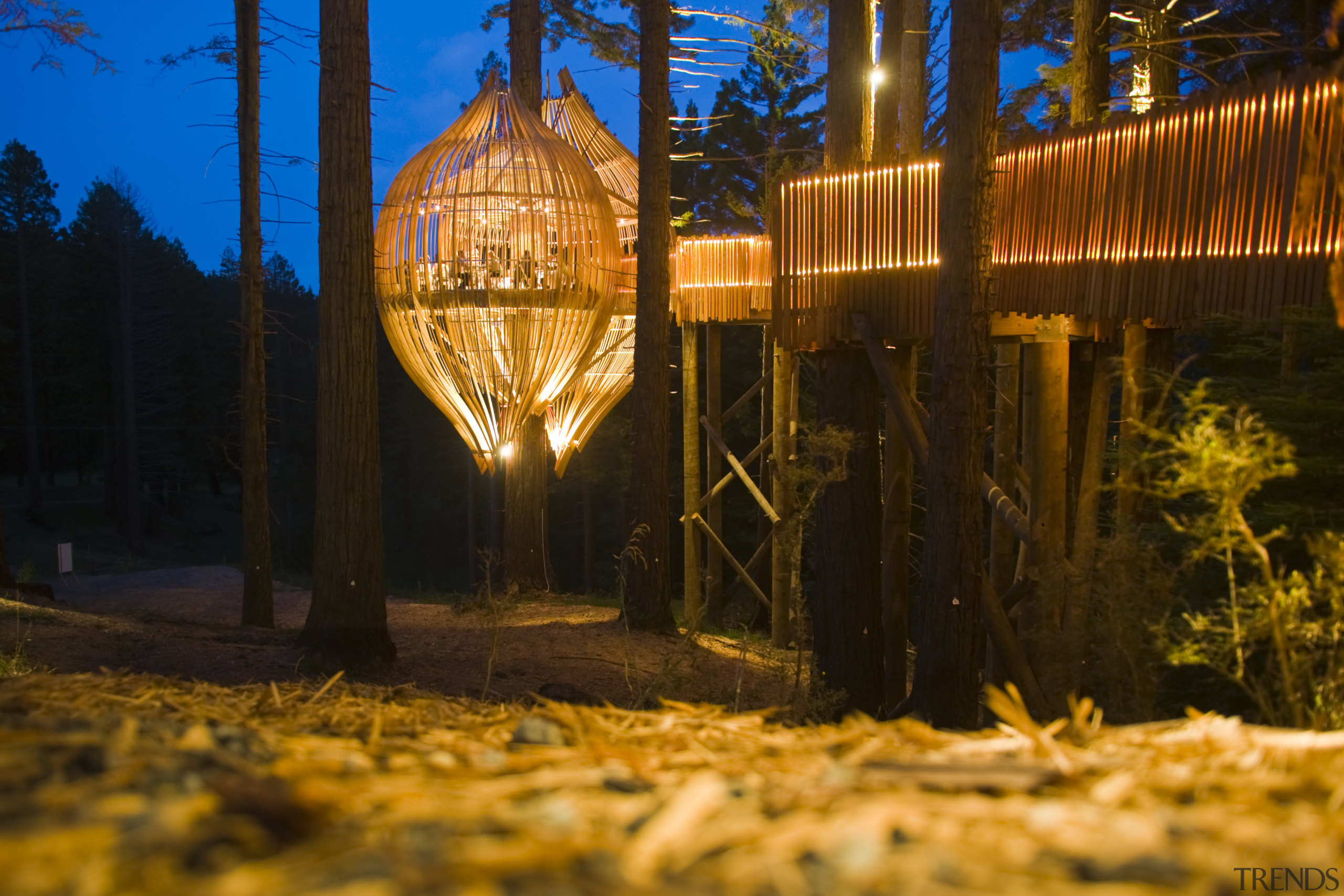 Image of the Yellow Treehouse restaurant which has evening, grass, house, light, lighting, nature, night, plant, reflection, sky, sunlight, tree, wood, yellow, brown