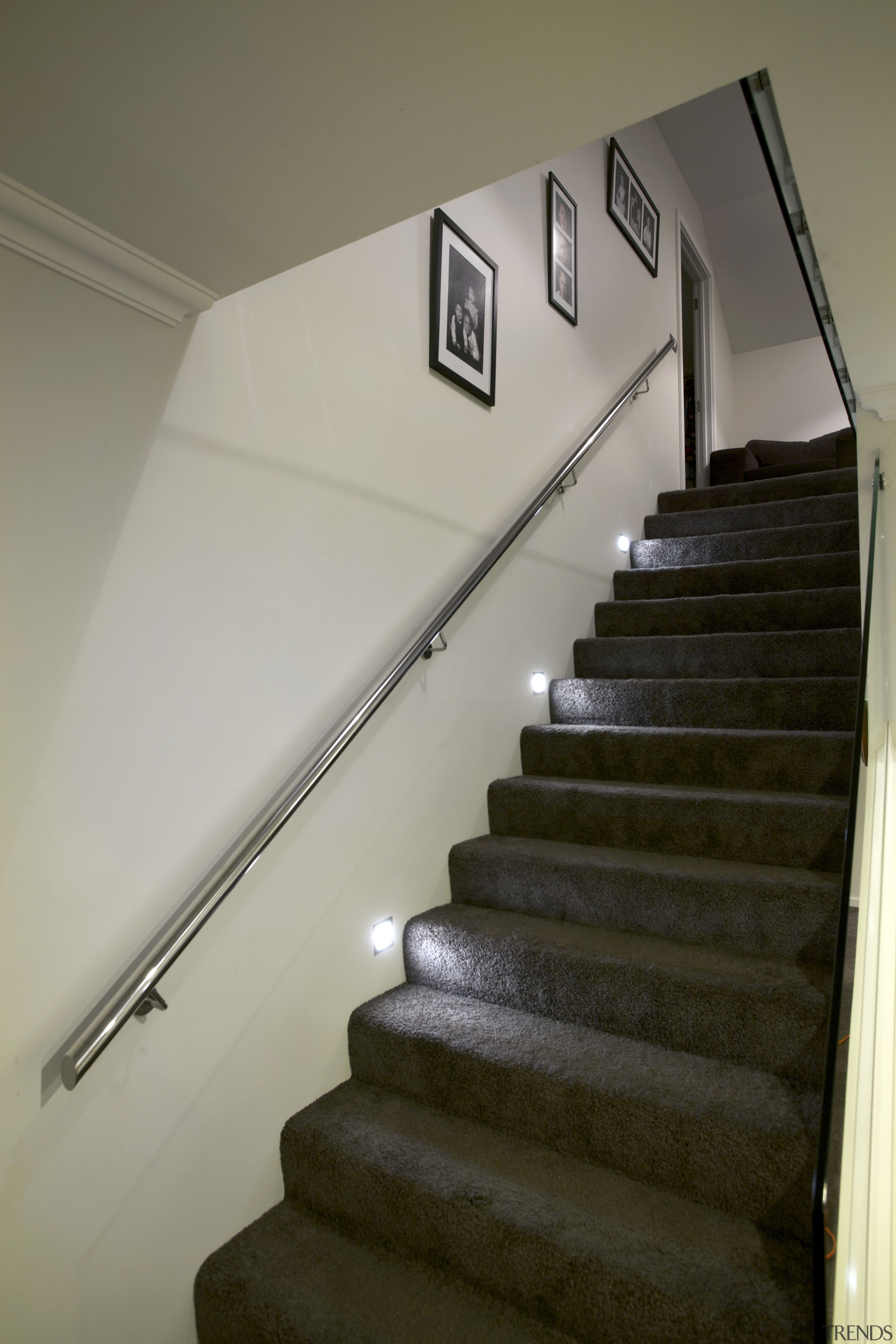 Design and build by Fowler Homes Taranaki - daylighting, handrail, stairs, gray