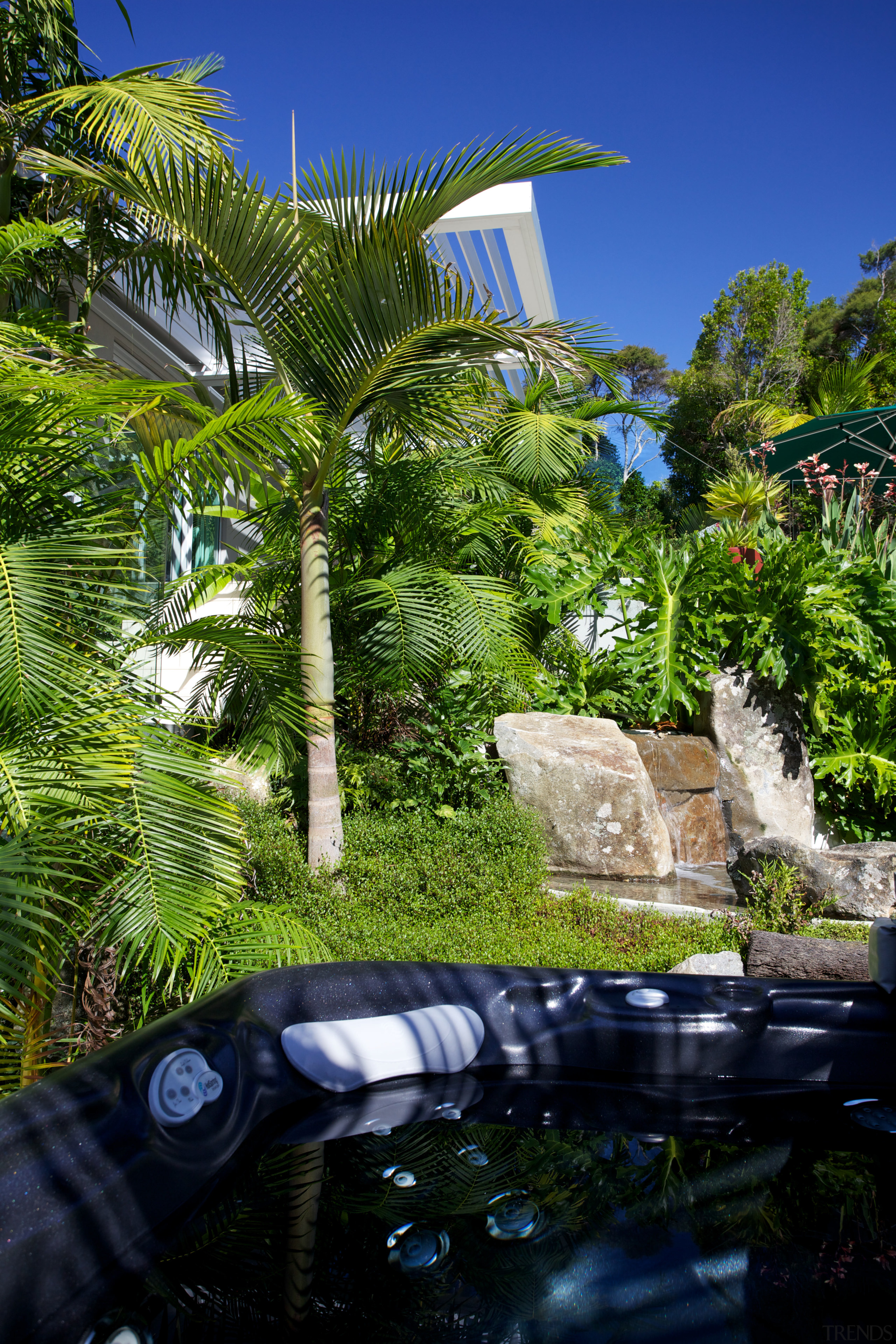 Bathers in the spa pool can be completely arecales, grass, landscape, landscaping, leaf, majorelle blue, outdoor structure, palm tree, plant, reflection, resort, sky, tree, tropics, vegetation, water, woody plant, green