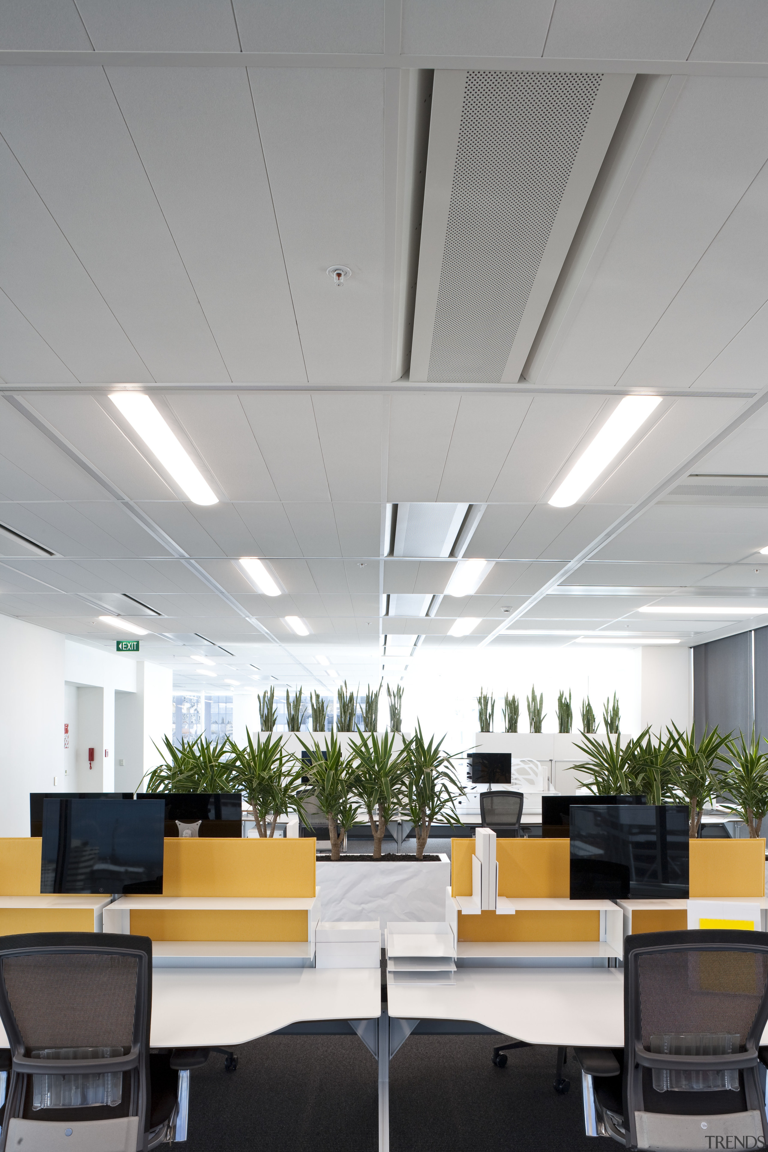 internal office view of 21 Queen St development. architecture, ceiling, conference hall, daylighting, interior design, lighting, office, product design, gray