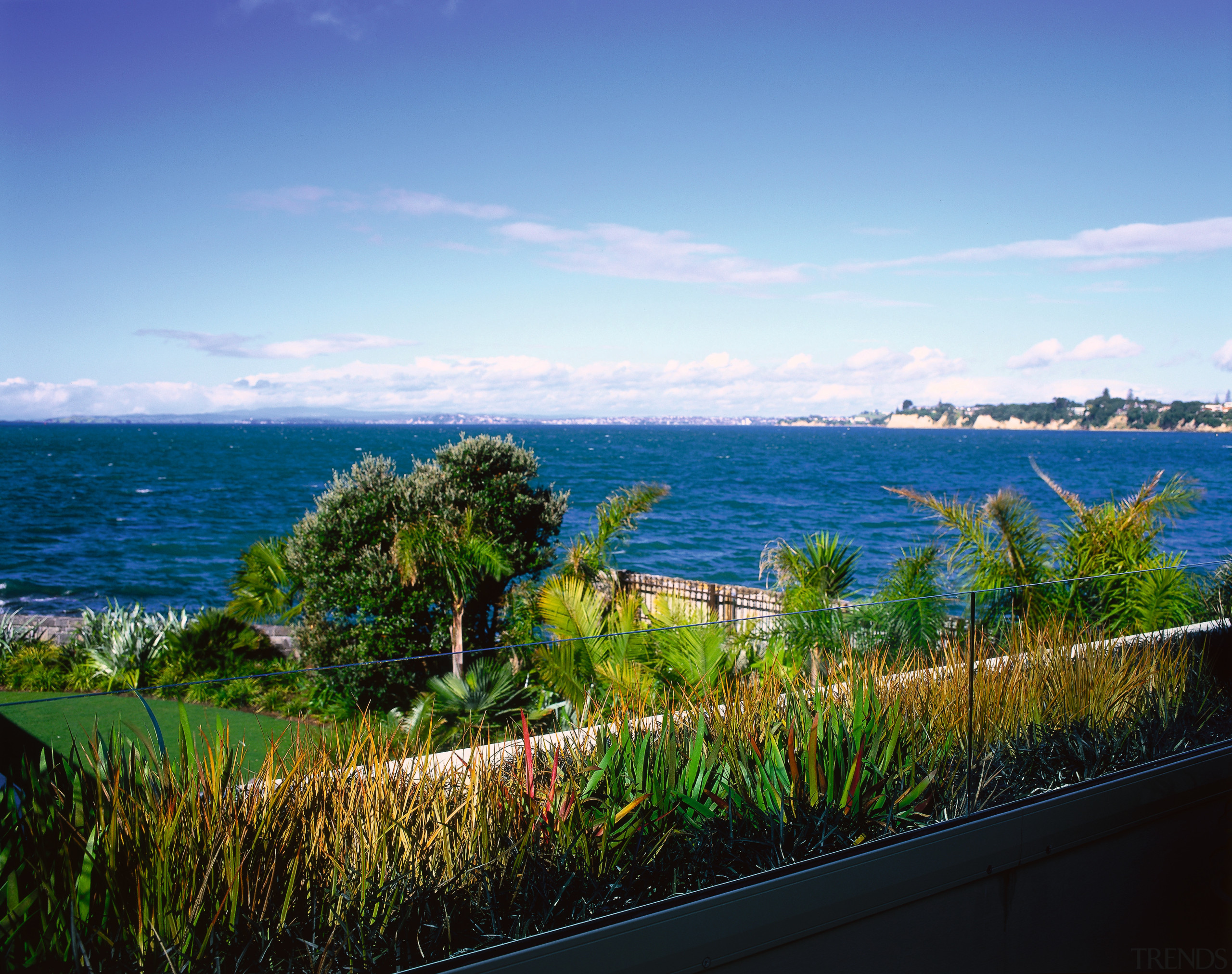 View of the garden &amp; landscape - View arecales, bay, coast, grass, horizon, ocean, palm tree, plant, promontory, sea, shore, sky, tree, tropics, vegetation, water, teal