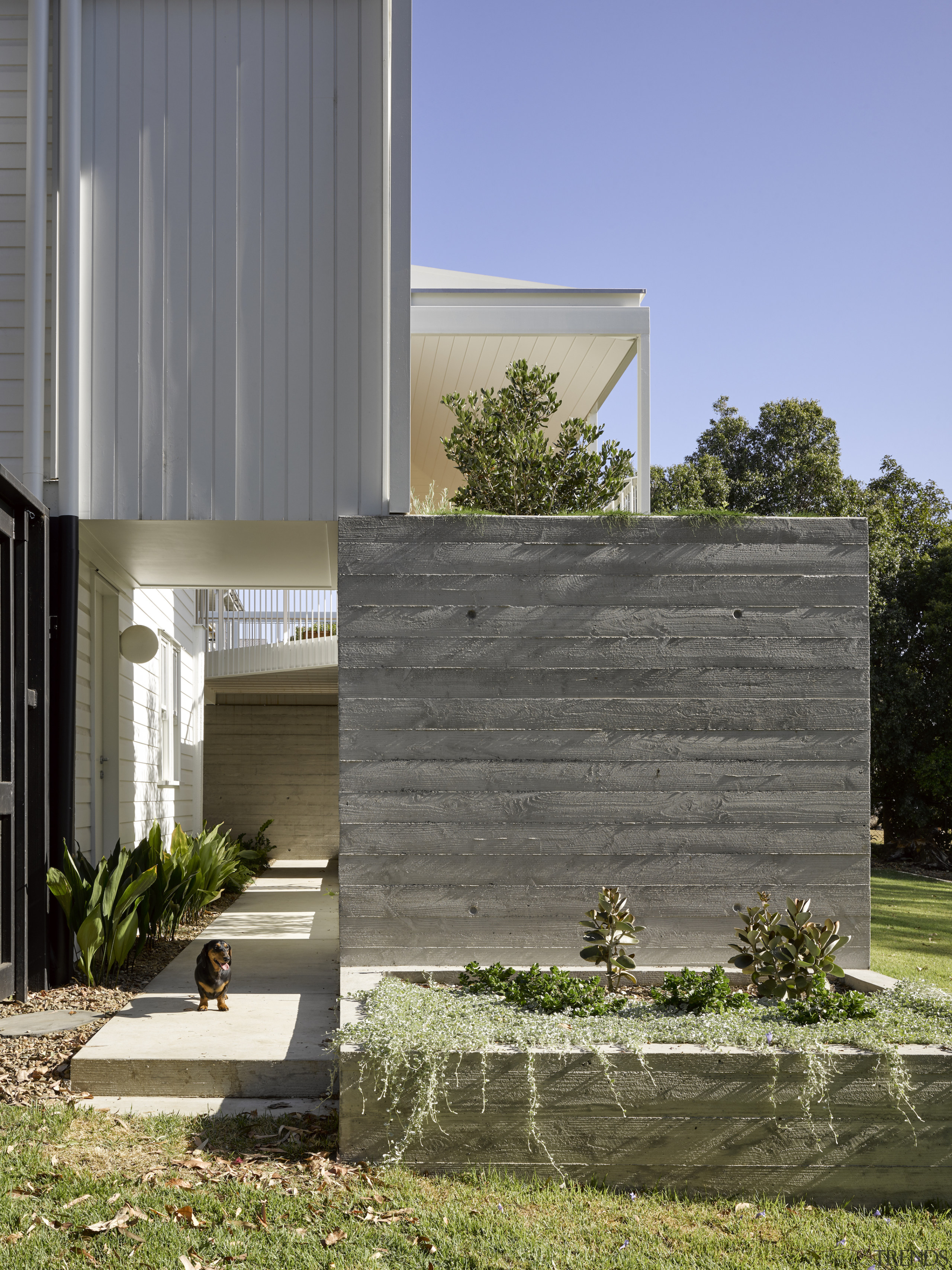 Concrete planters bring gardens to the elevated outdoor 