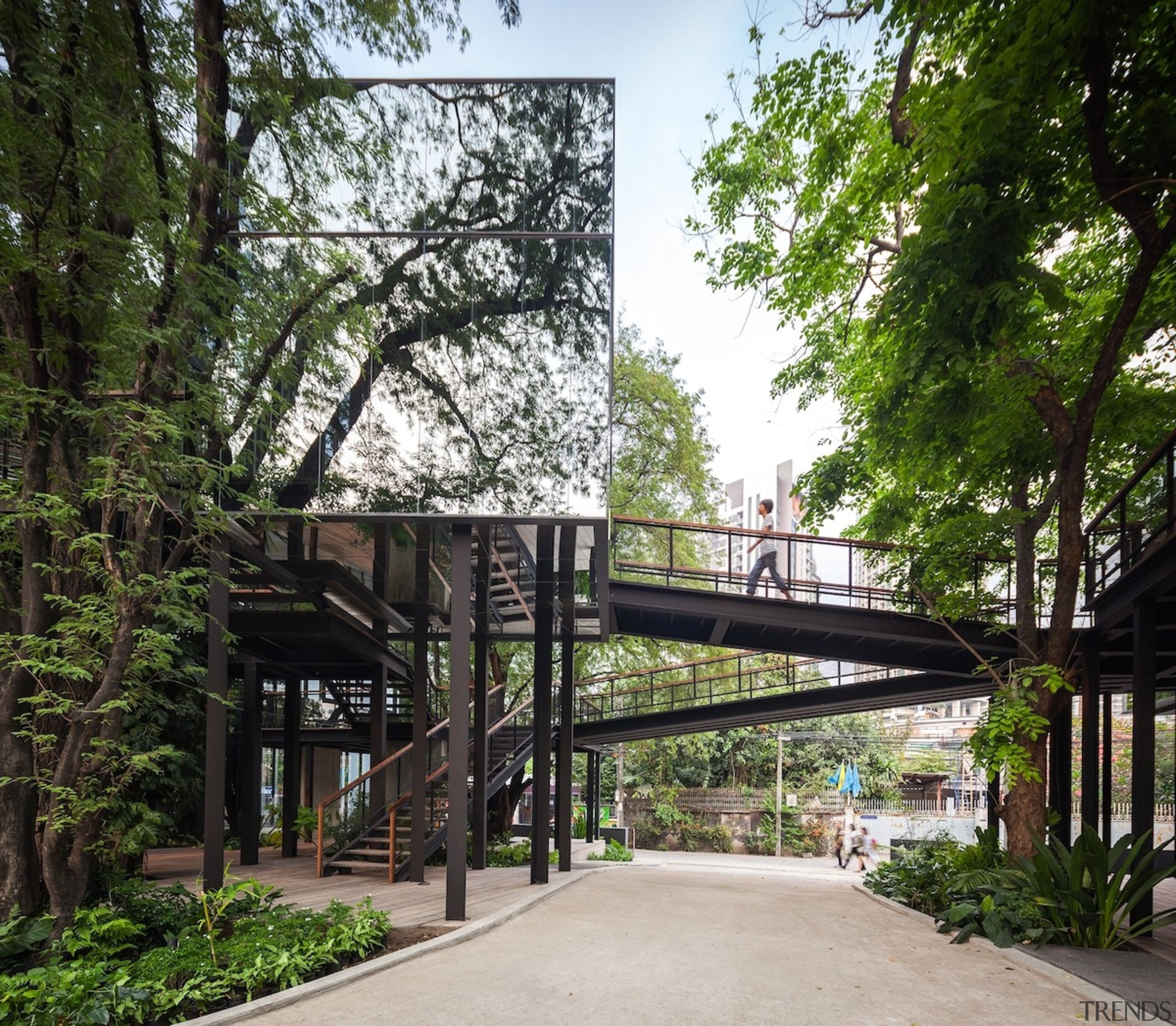 The glass structure blends into the trees - architecture, condominium, plant, real estate, skyway, tree, walkway, black, white
