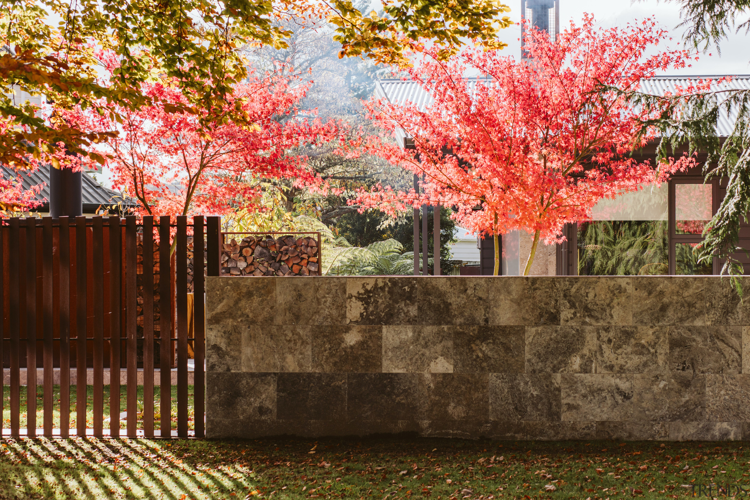 Designer: "Many of our native trees have quite 