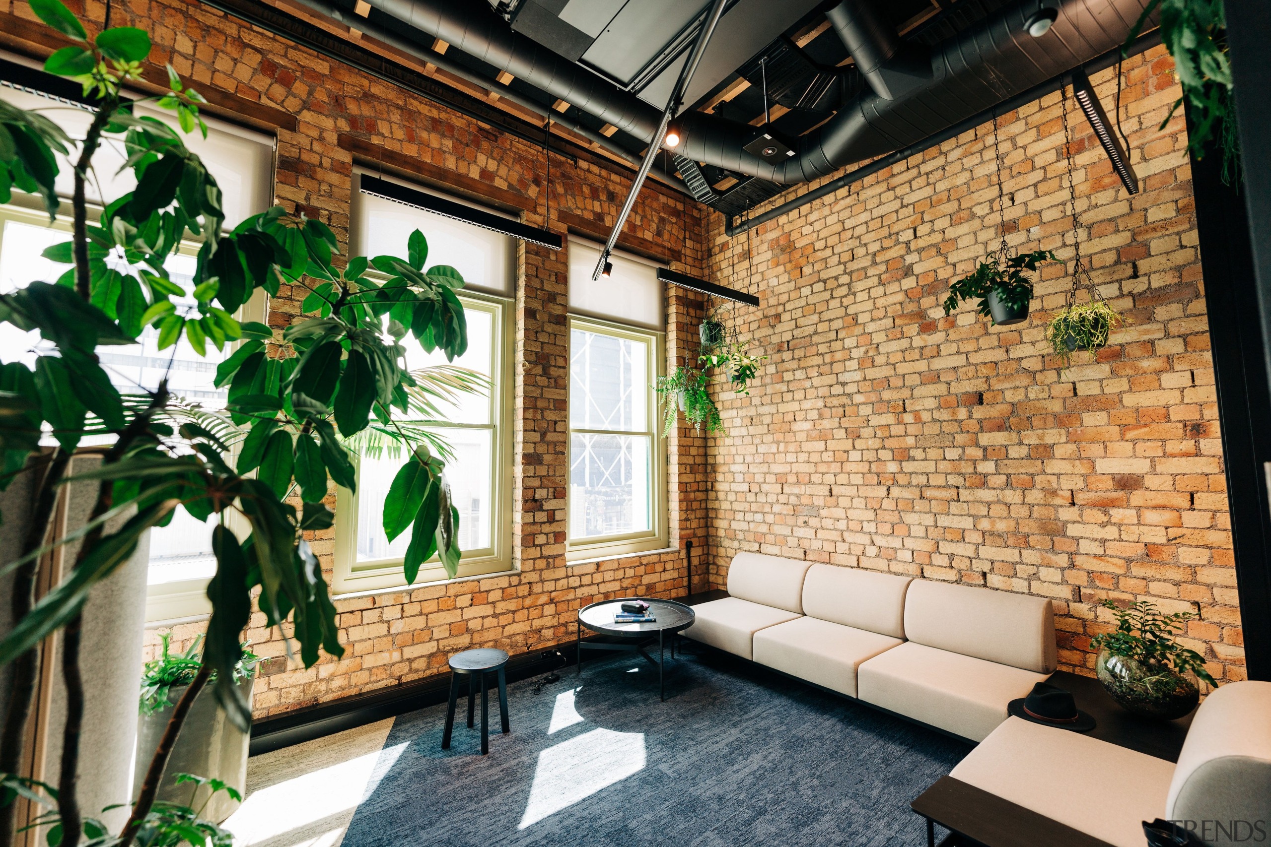  The retreat space with large plants and exposed 