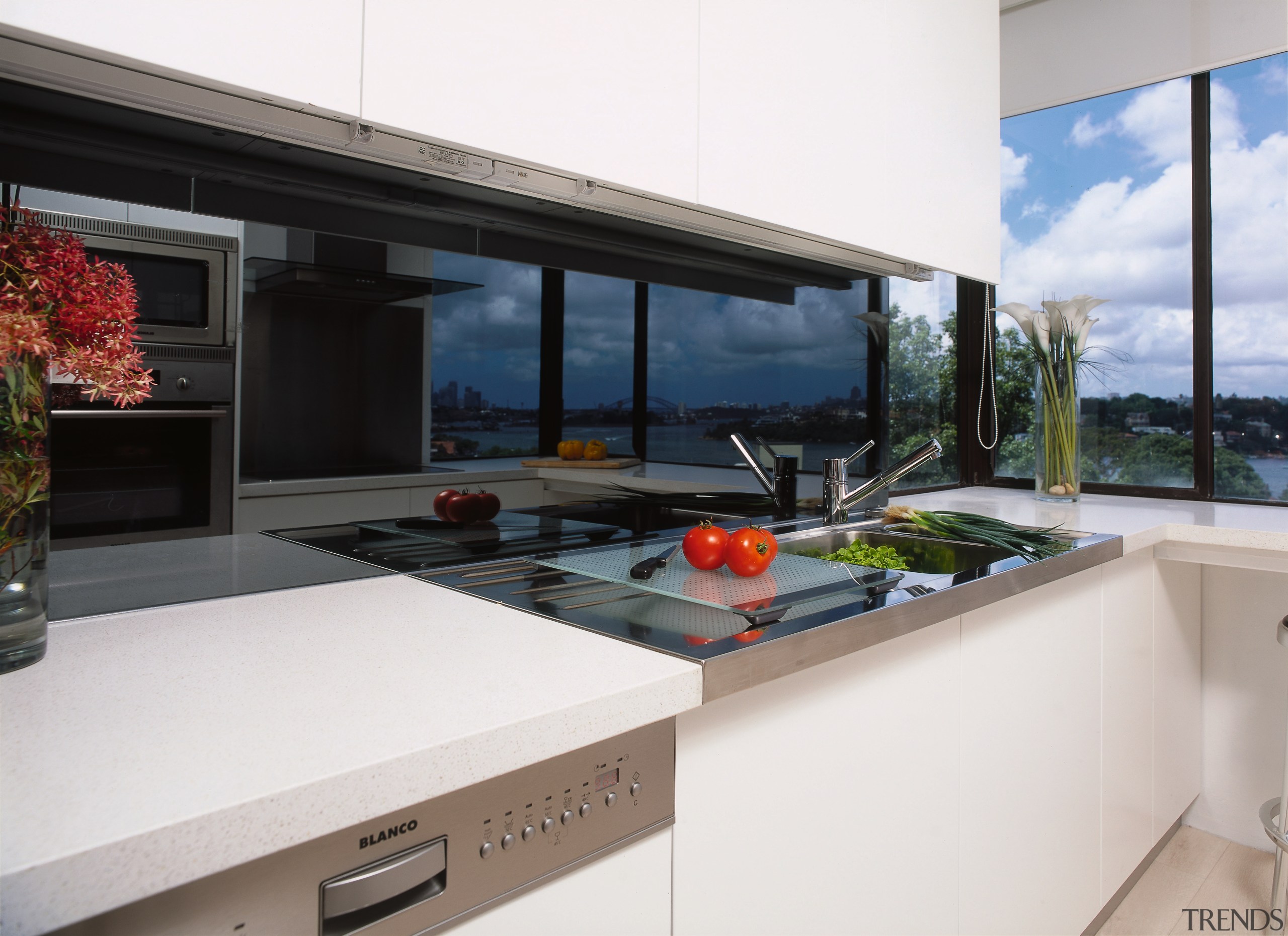 view of the kitchen area showing the stianless countertop, house, interior design, kitchen, property, real estate, window, white