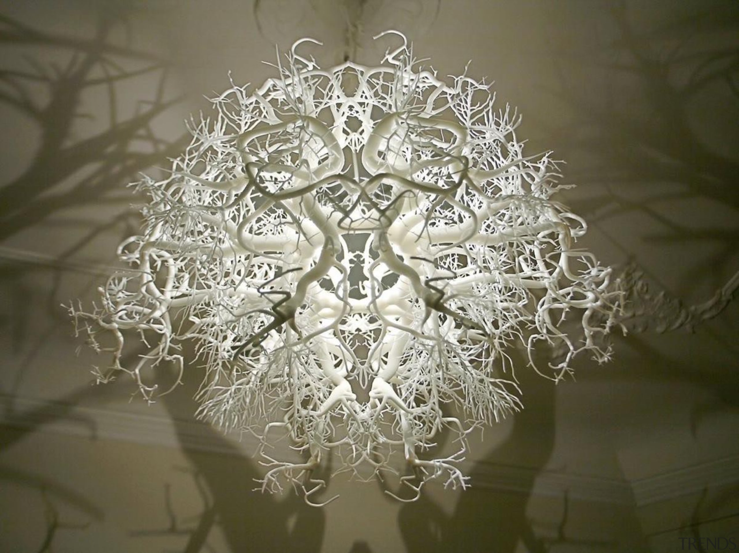 20130406120240.jpg - 20130406120240.jpg - chandelier | light fixture chandelier, light fixture, lighting, lighting accessory, symmetry, brown